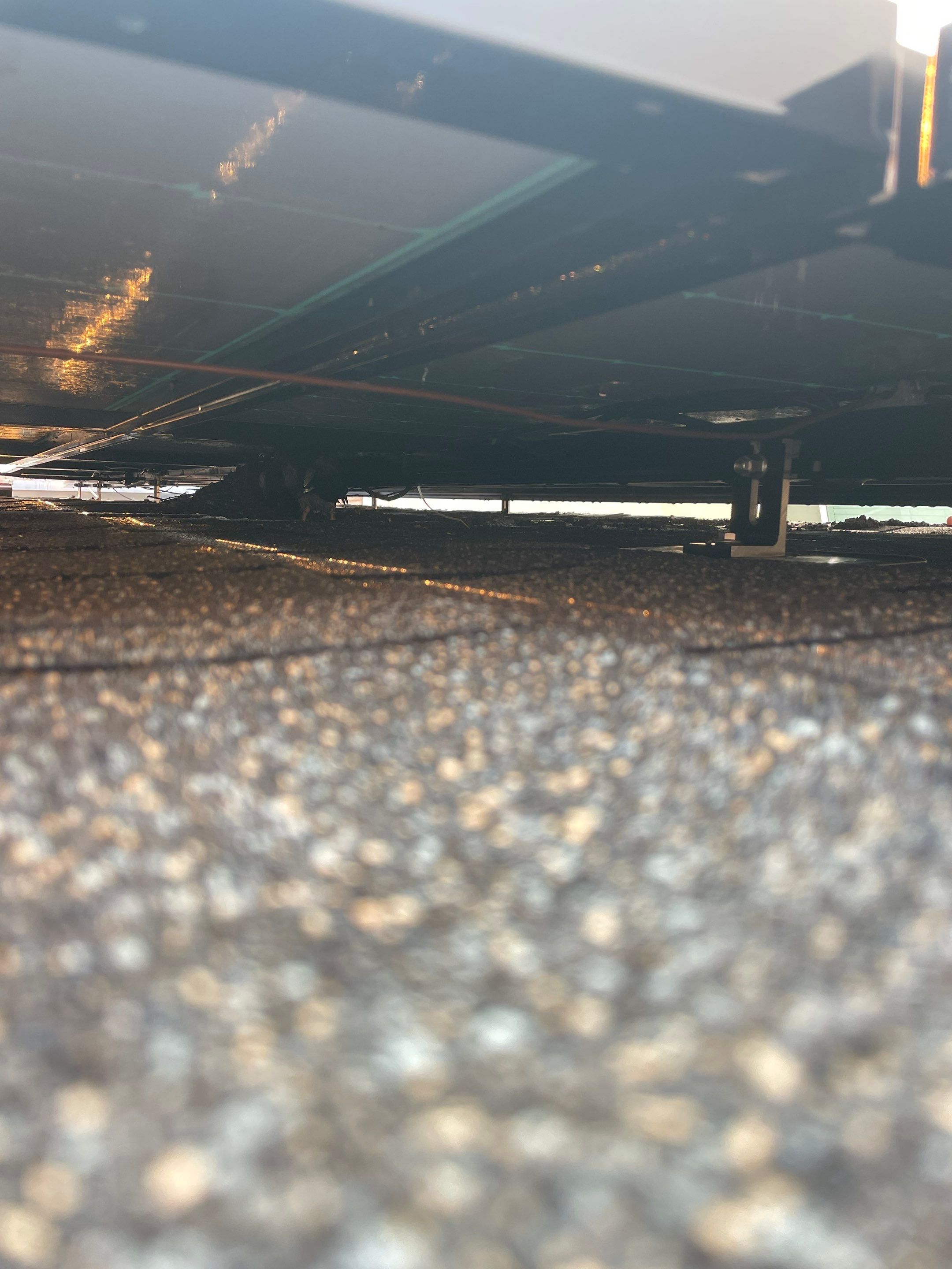 Solar Panel Bird Proofing in Ontario Ca by Palm Coast Solar Cleaning