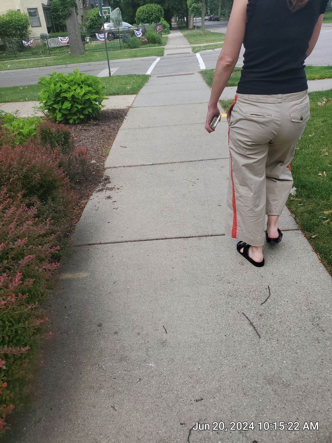 concrete cleaning using Algaecide, soft wash soap by Northern Power Washing LLC.