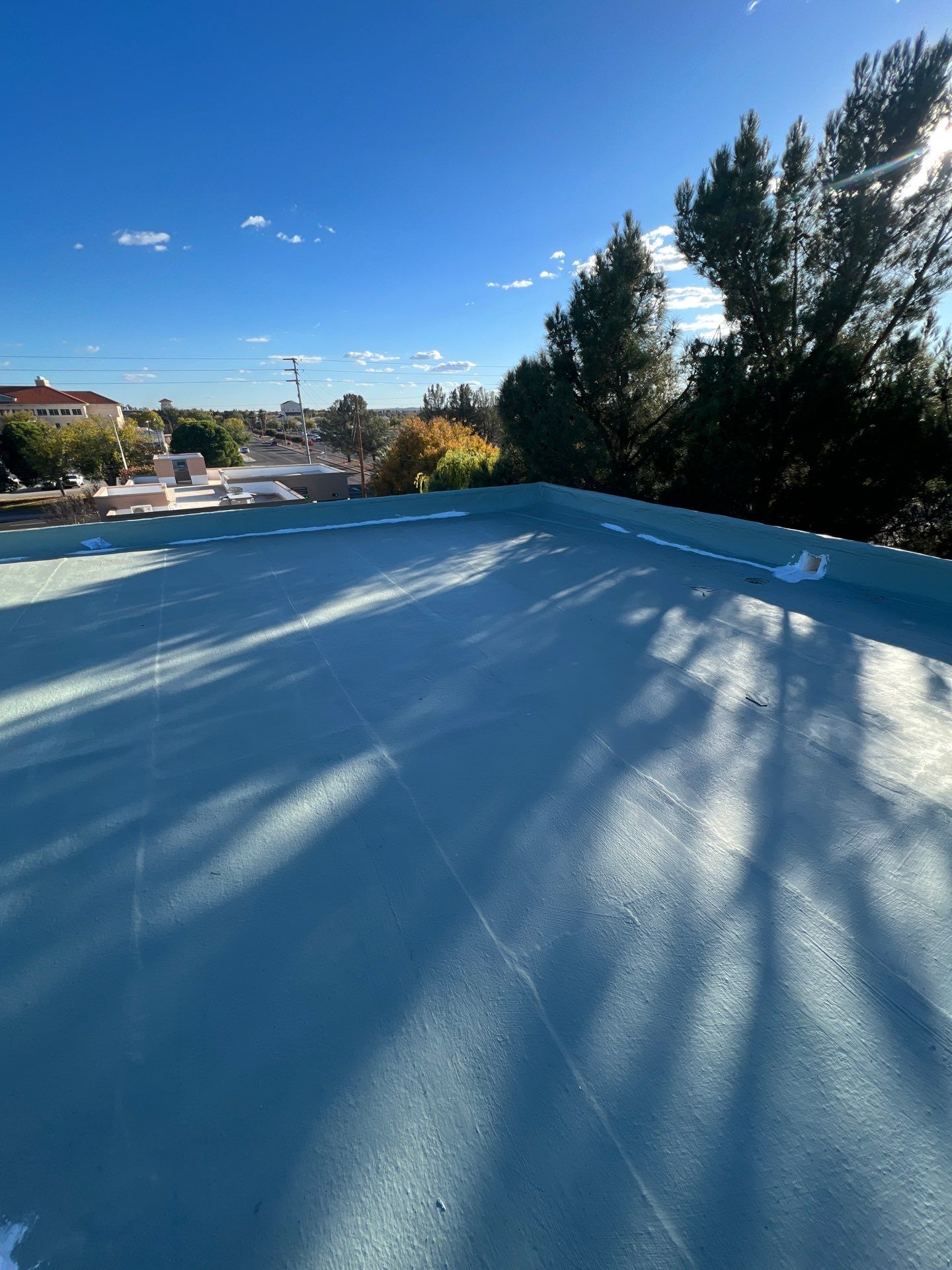Las Palmas Apartments by SPF Services 