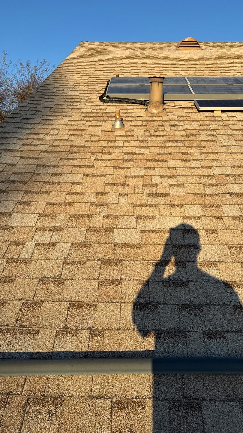 Project in Galt  by NuLead Construction Inc