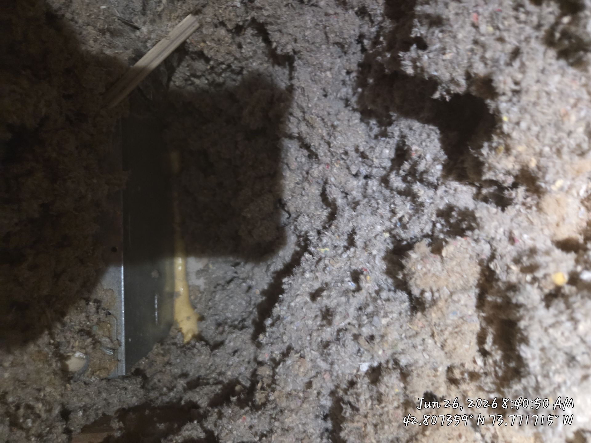 Attic and Rim Joist Insulation Upgrade Project in Clifton Park by Saffron Elite Home Performance & Building Science
