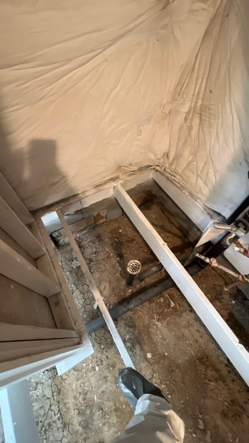 Mold Remediation by Accountable Home Services