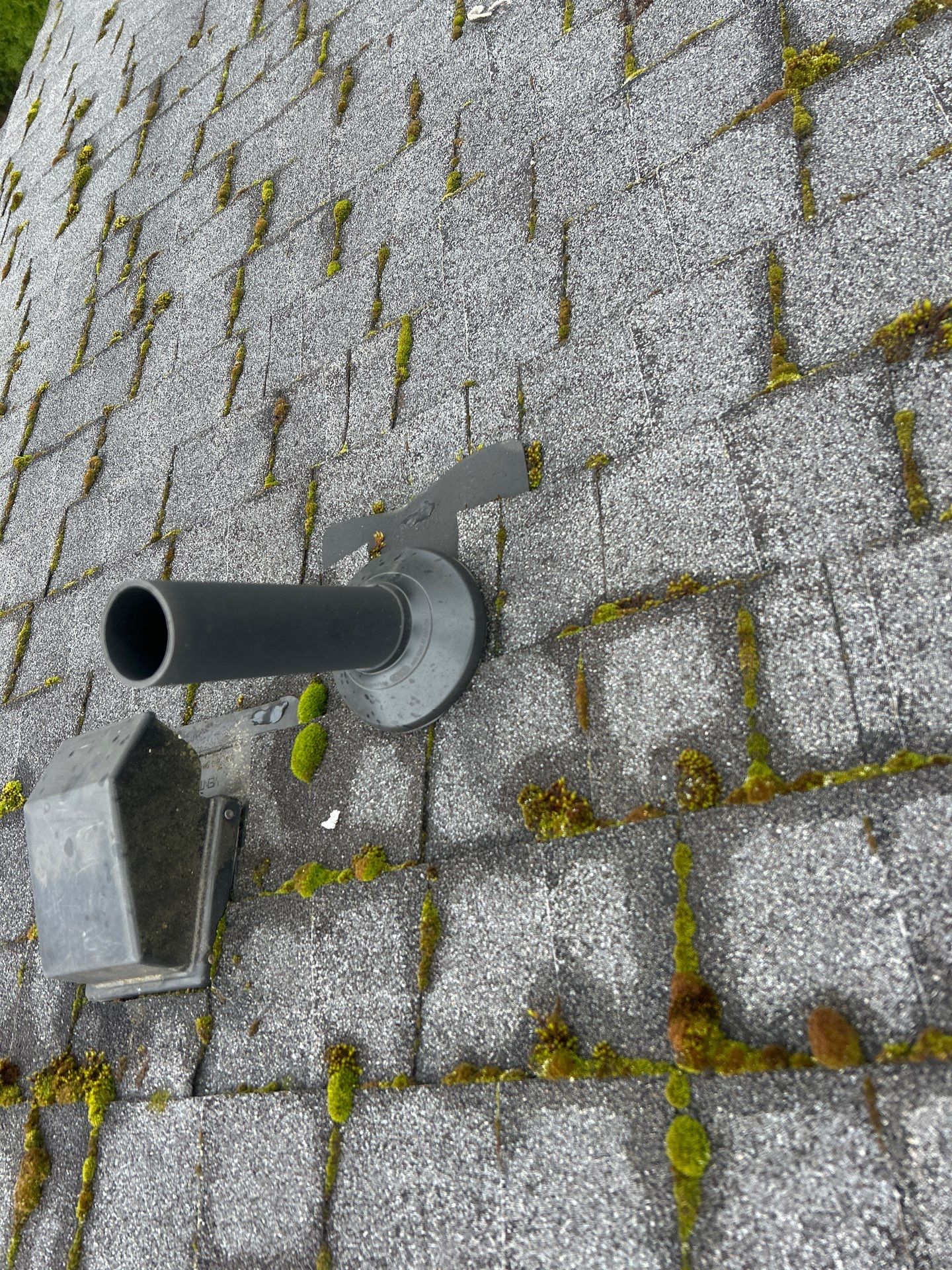 Project in Bellevue by Connolly Construction Company