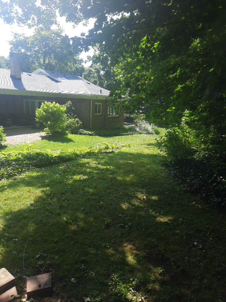 Tree Removal using Tree Removal by Mike Jones & Sons Tree Service LLC 