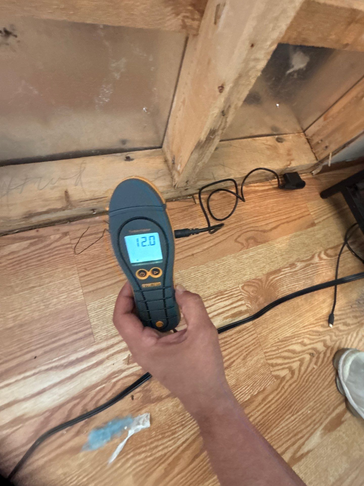 Mold Remediation Bradenton by Ampm Restoration Services 