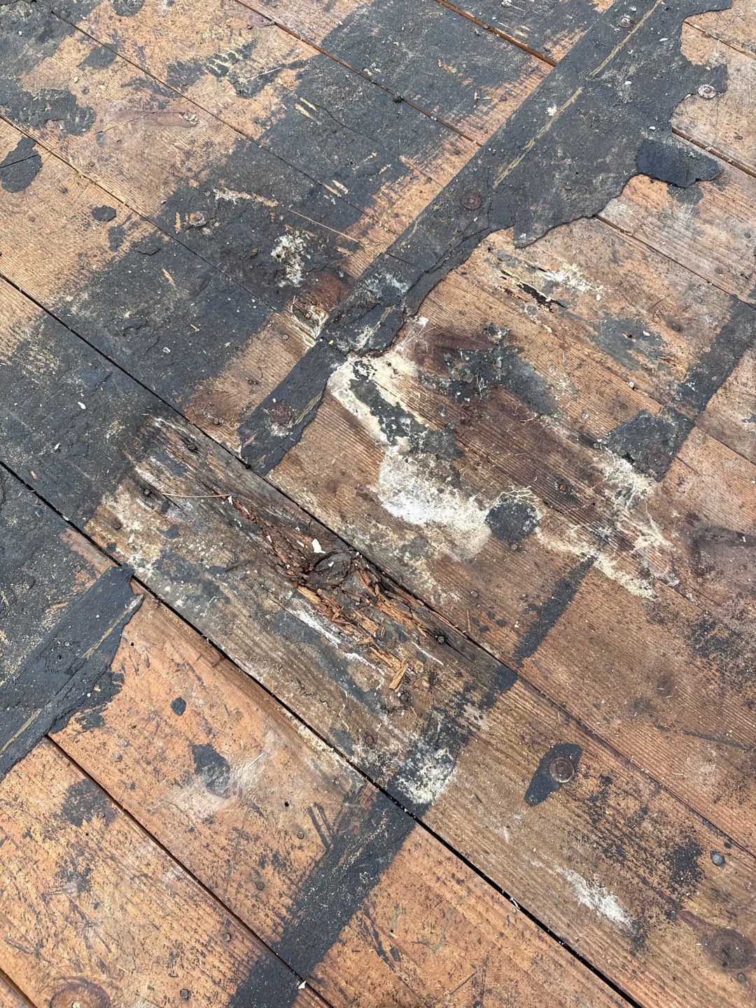 Project in St. Petersburg 33703 by Mitchell Roofing Company LLC