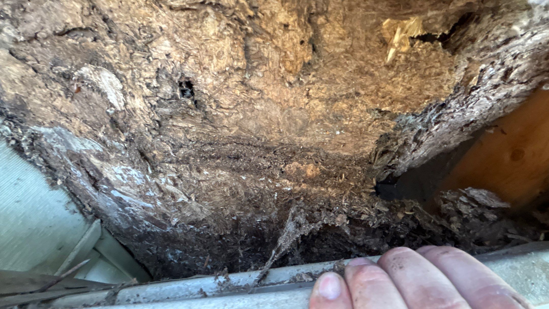 Roof Replacement using CertainTeed Landmark Max Def Shenandoah by 180 Contractors