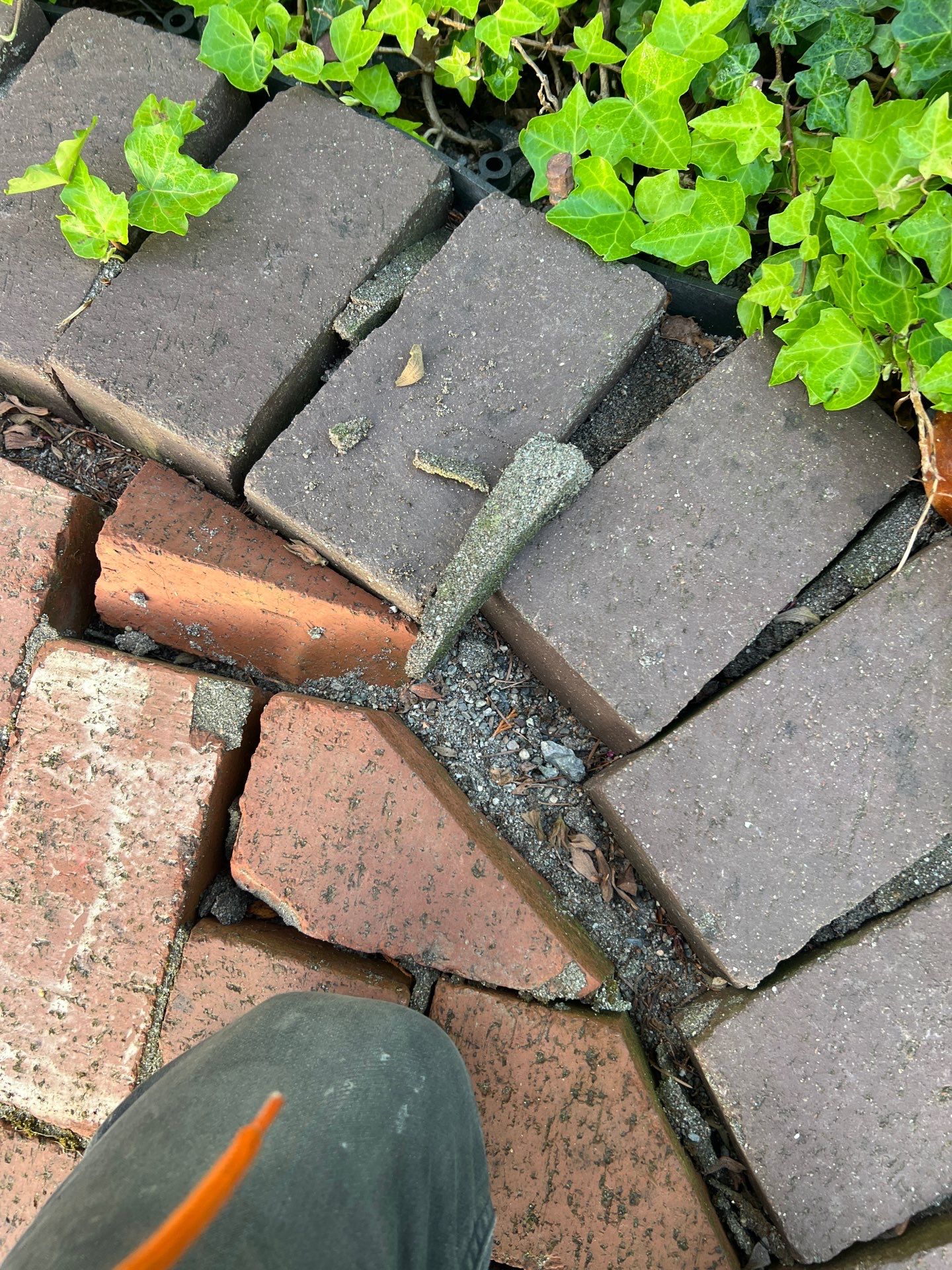 Edmonds Brick Patio Renovation by Jireh Asphalt & Concrete Inc 