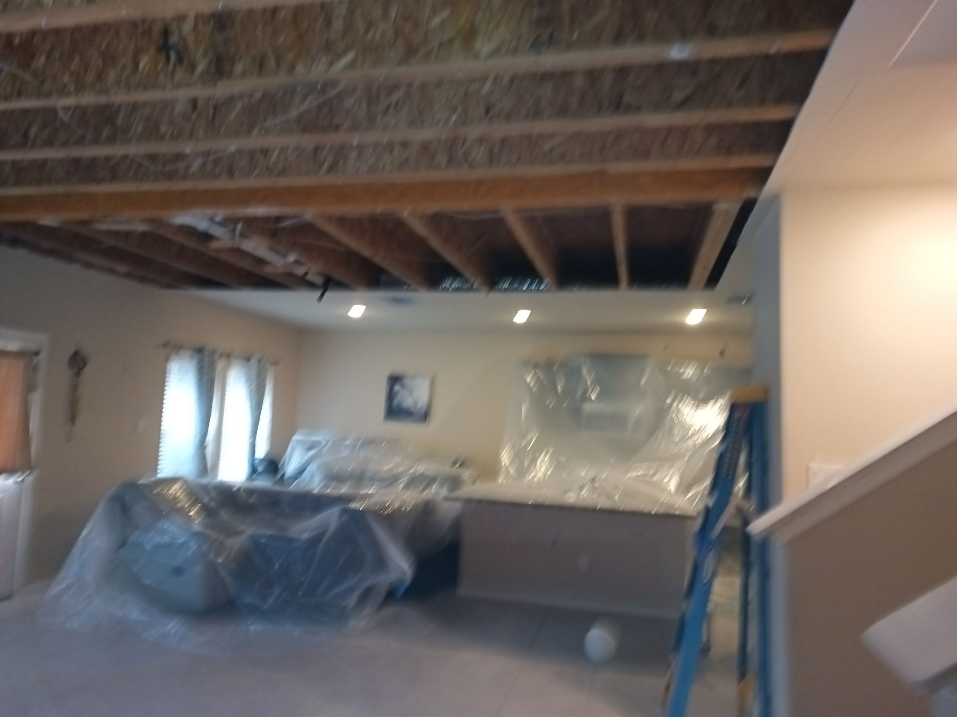 Mold Remediation Job in Katy by Team Home Solutions