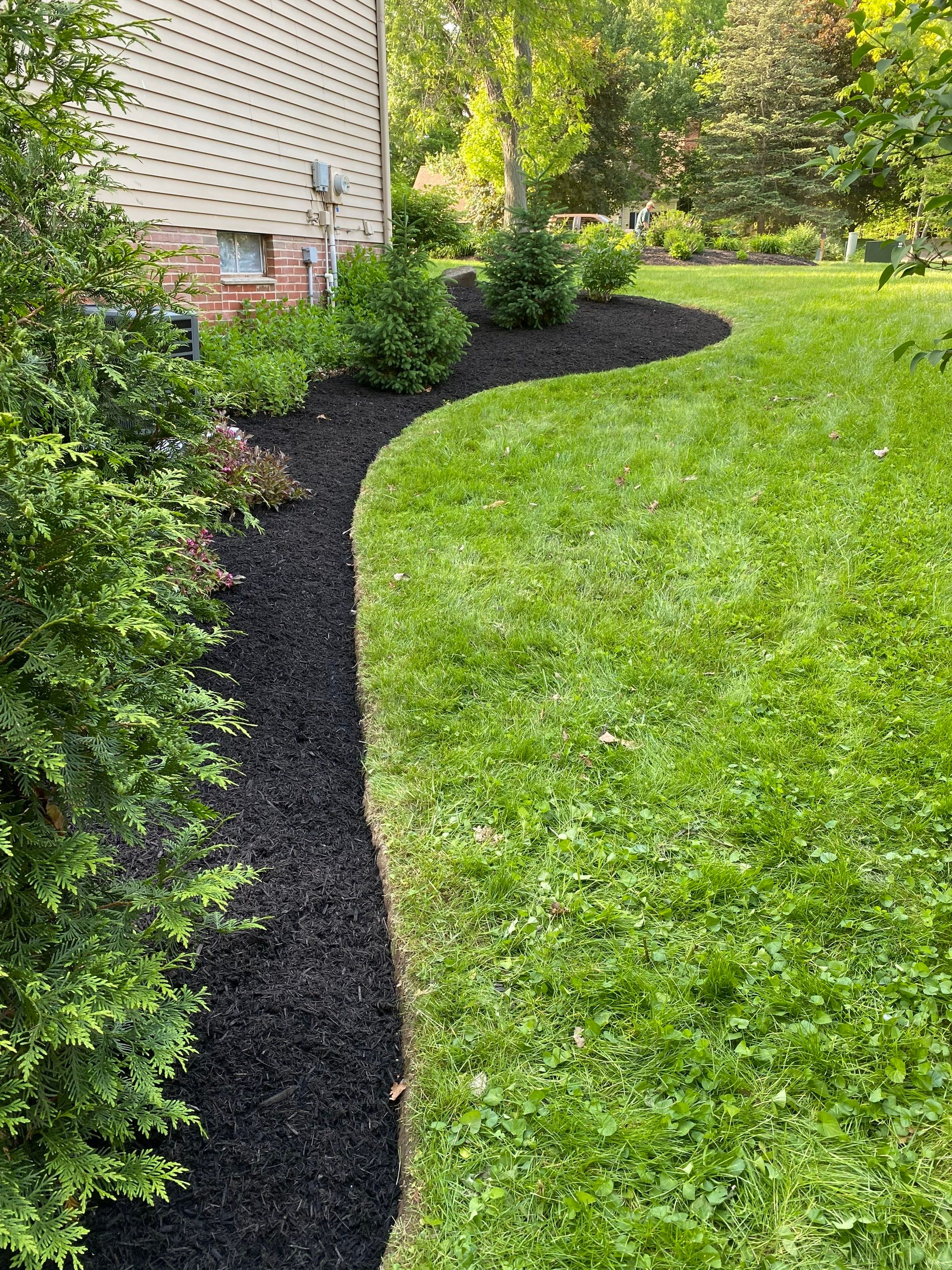 Curved Edge Maintenance by Elm Rose Gardens