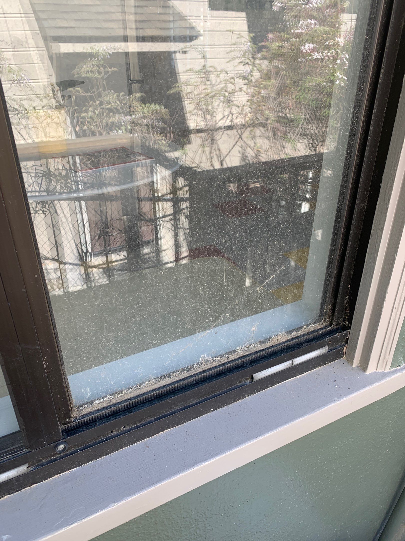 Exterior window cleaning using Pure Water Wash by SpotFree Window Cleaning