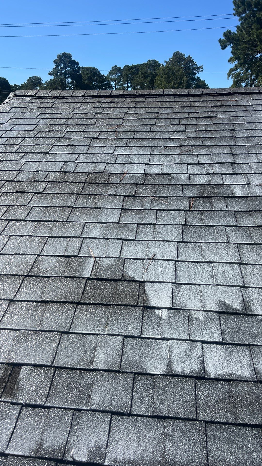 Project in Richmond by Roof Maxx of Midlothian