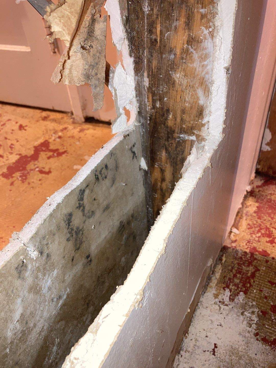 Mold Remediation in Basement by Accountable Home Services