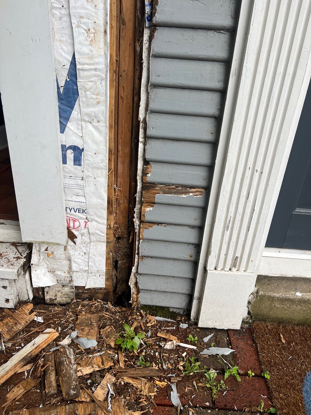 Alexandria: Siding Replacement with Solid Pine Wood Lap Siding by RM Banning, Inc.