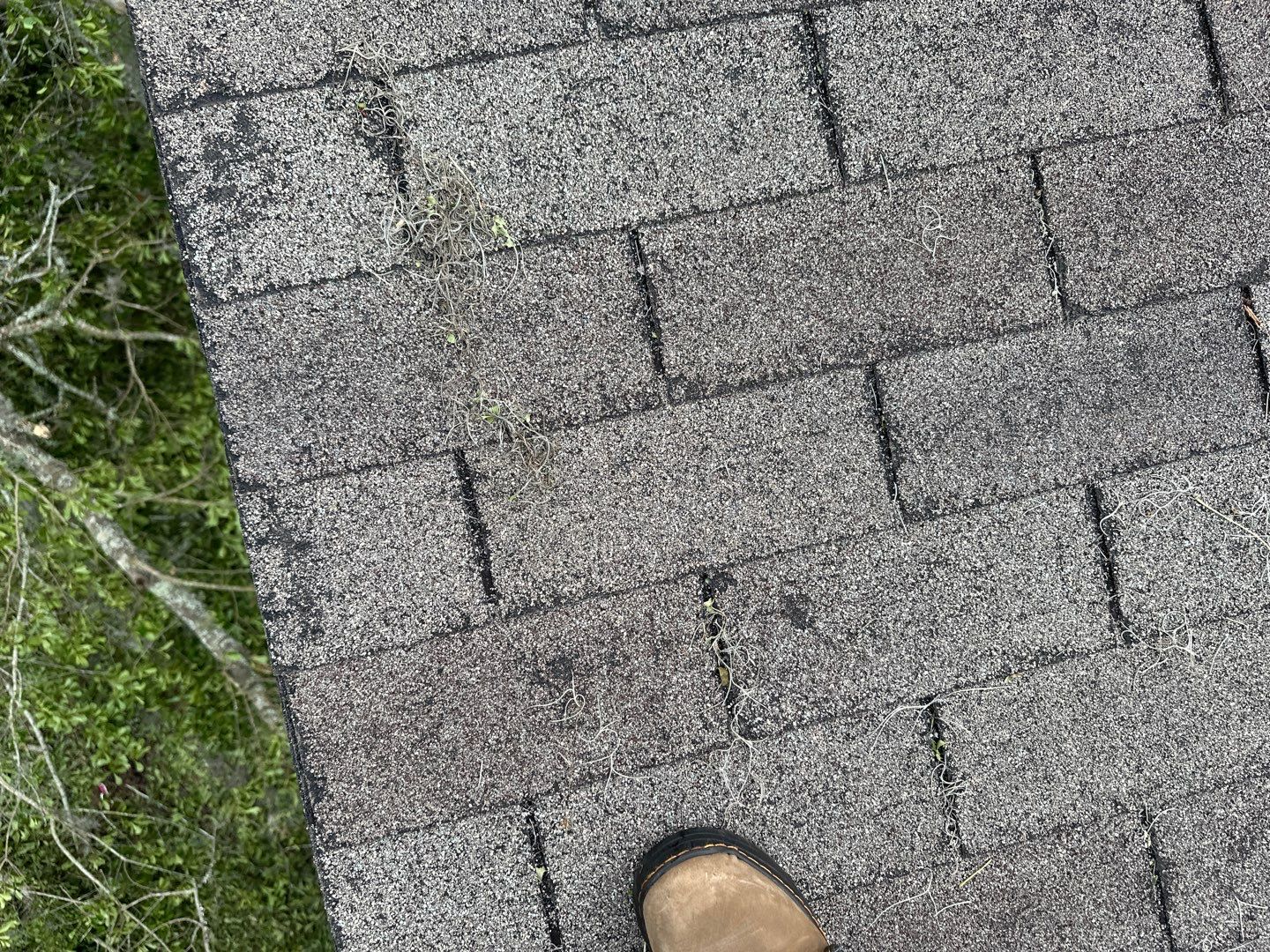 Residential Roofing Installation using Atlas Pinnacle Pristine Black Shadow by Talya Roofing