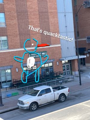 The Blue Duck