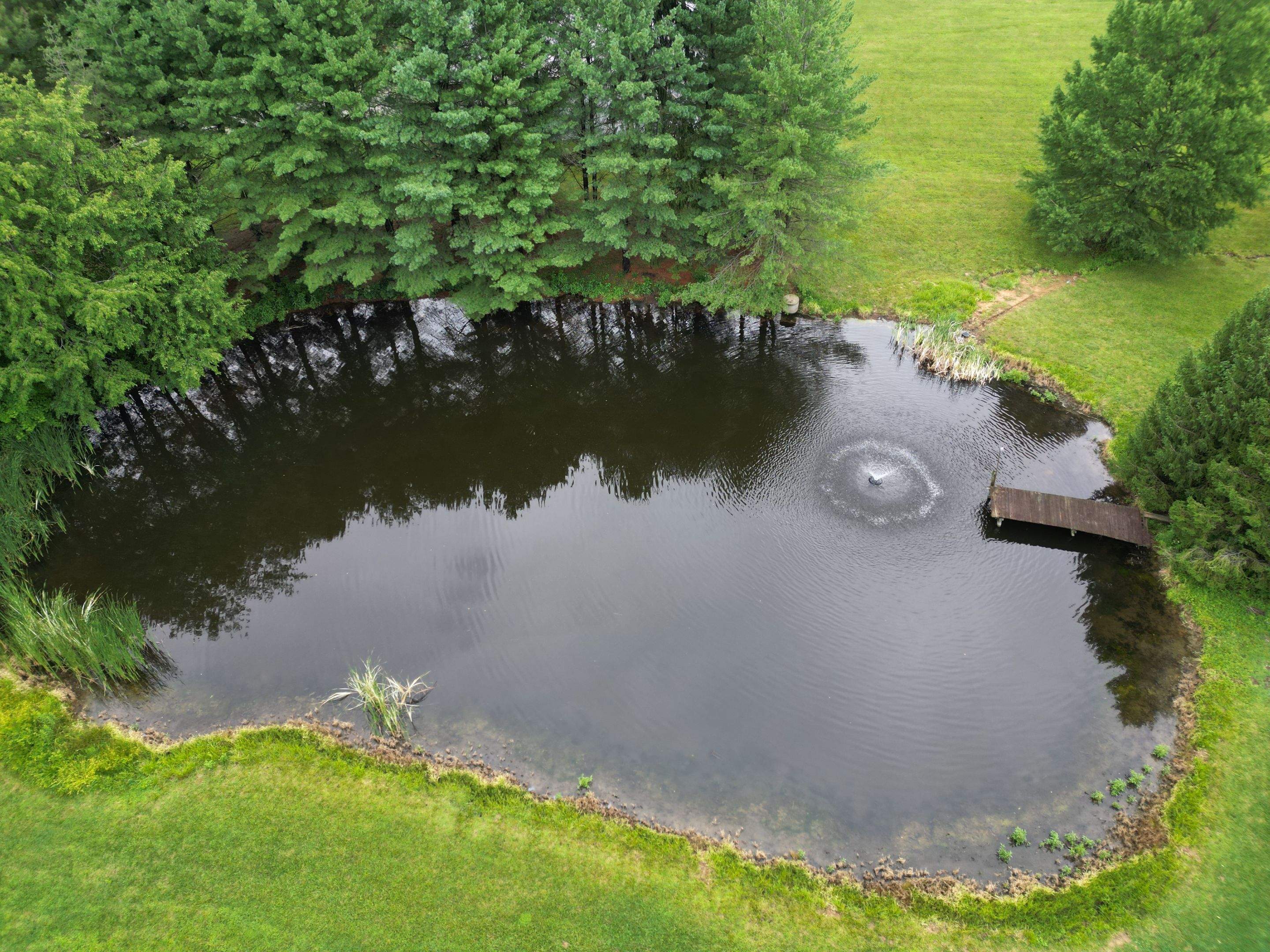 2025P1 by  Bellus Aquatic Solutions