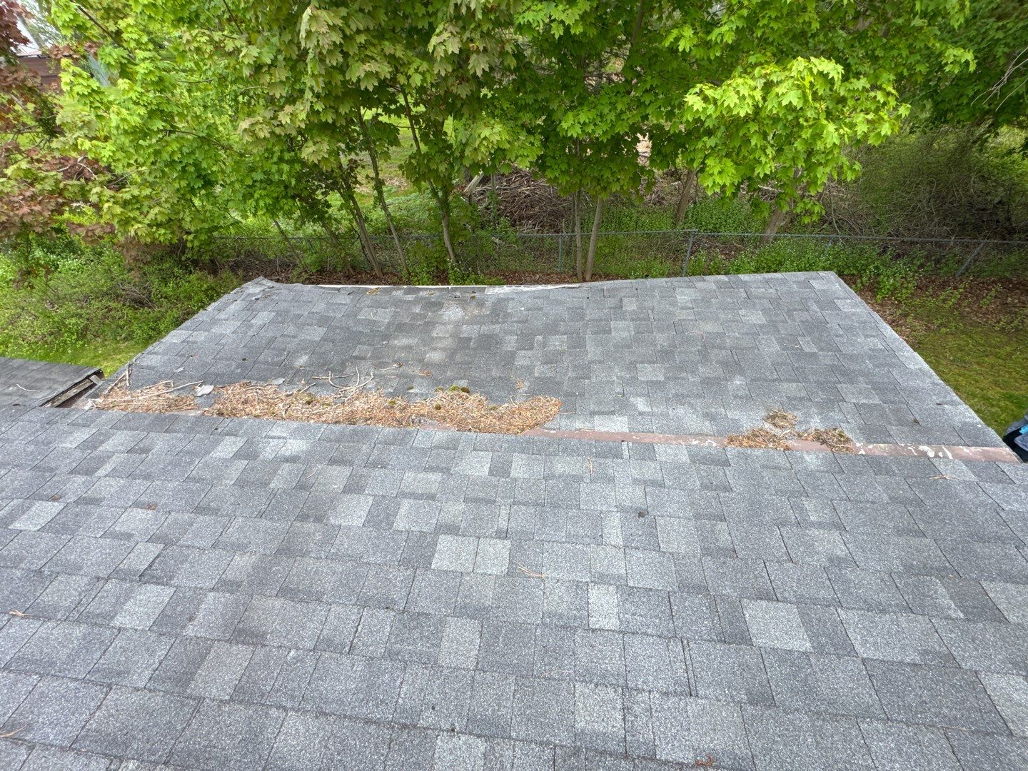 Full Roof Replacement & Rear Porch Makeover – A Stunning Transformation! by Sensible Home Solutions