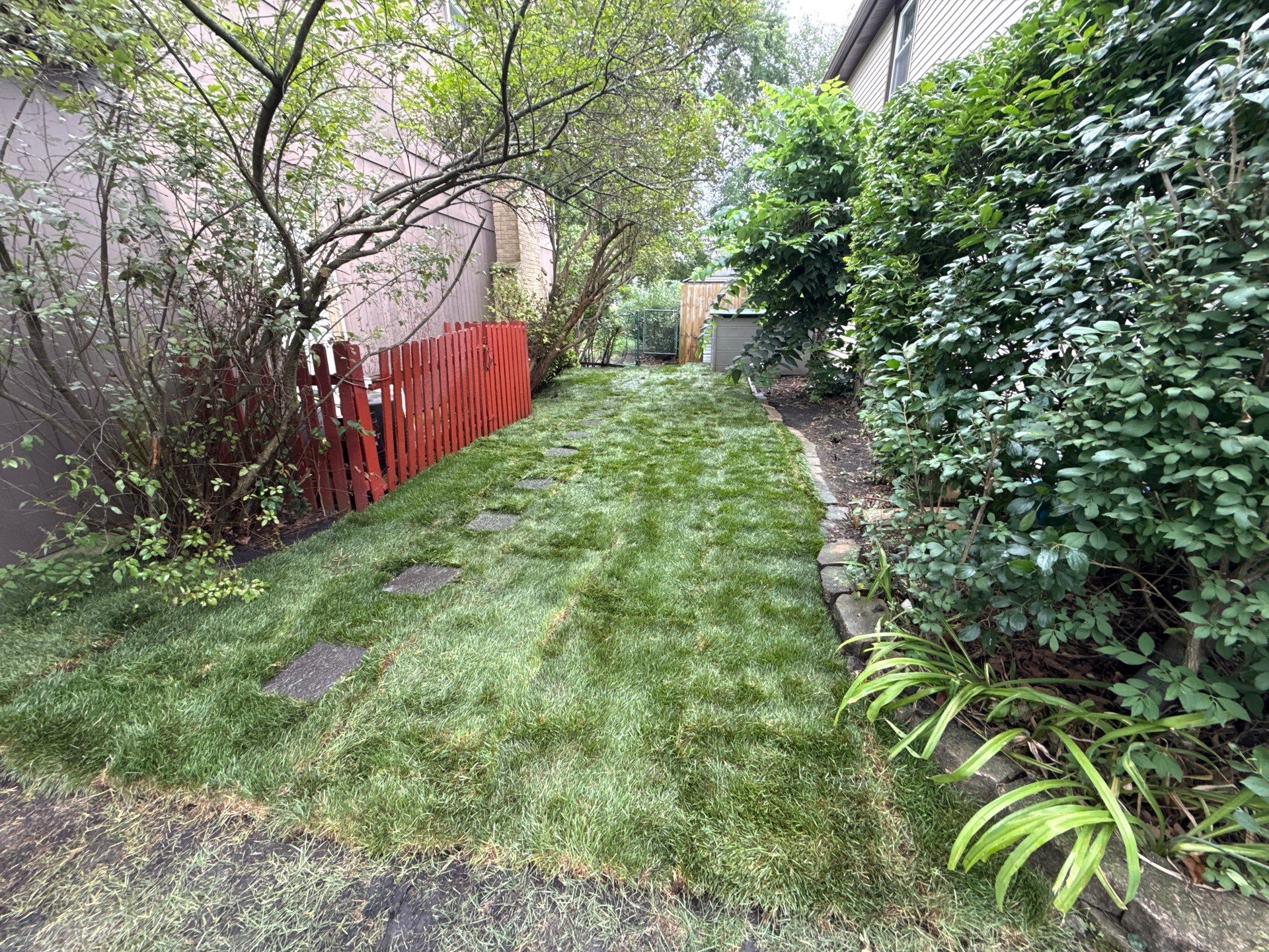 Helana M. - Mount Prospect, IL by A&N