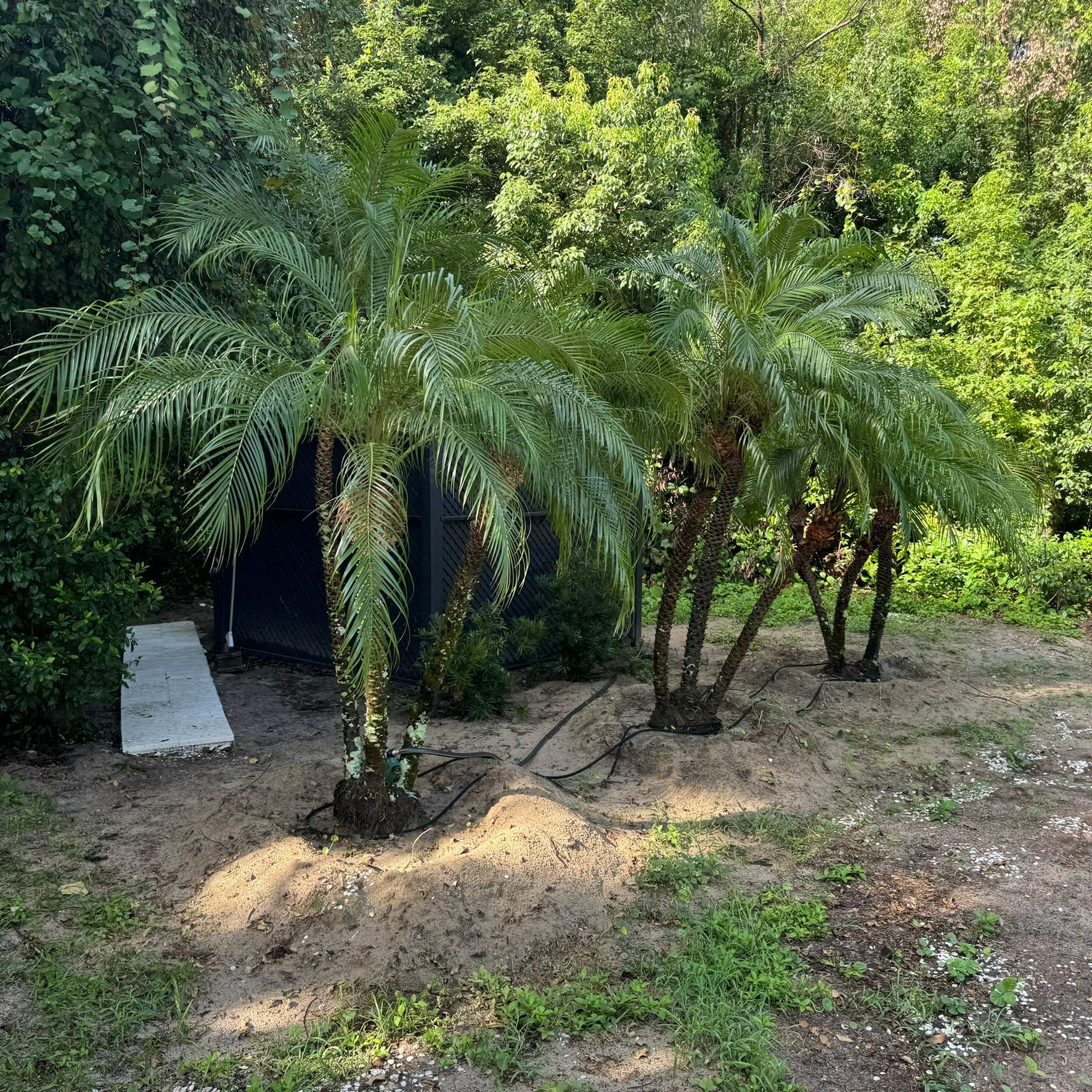 Landscape Install | Residence by ProGreen Services