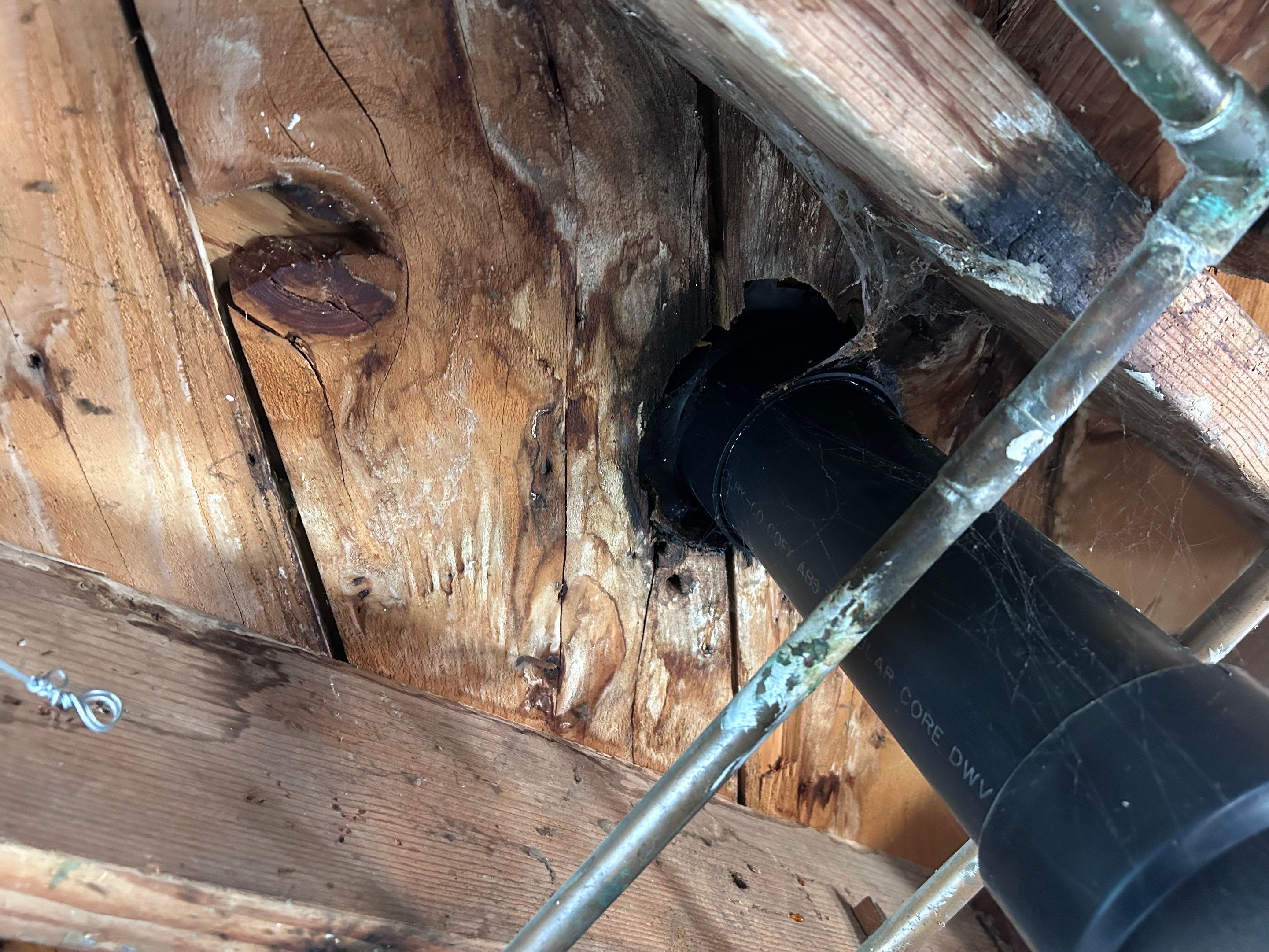 Mold Damage Restoration by Accountable Home Services