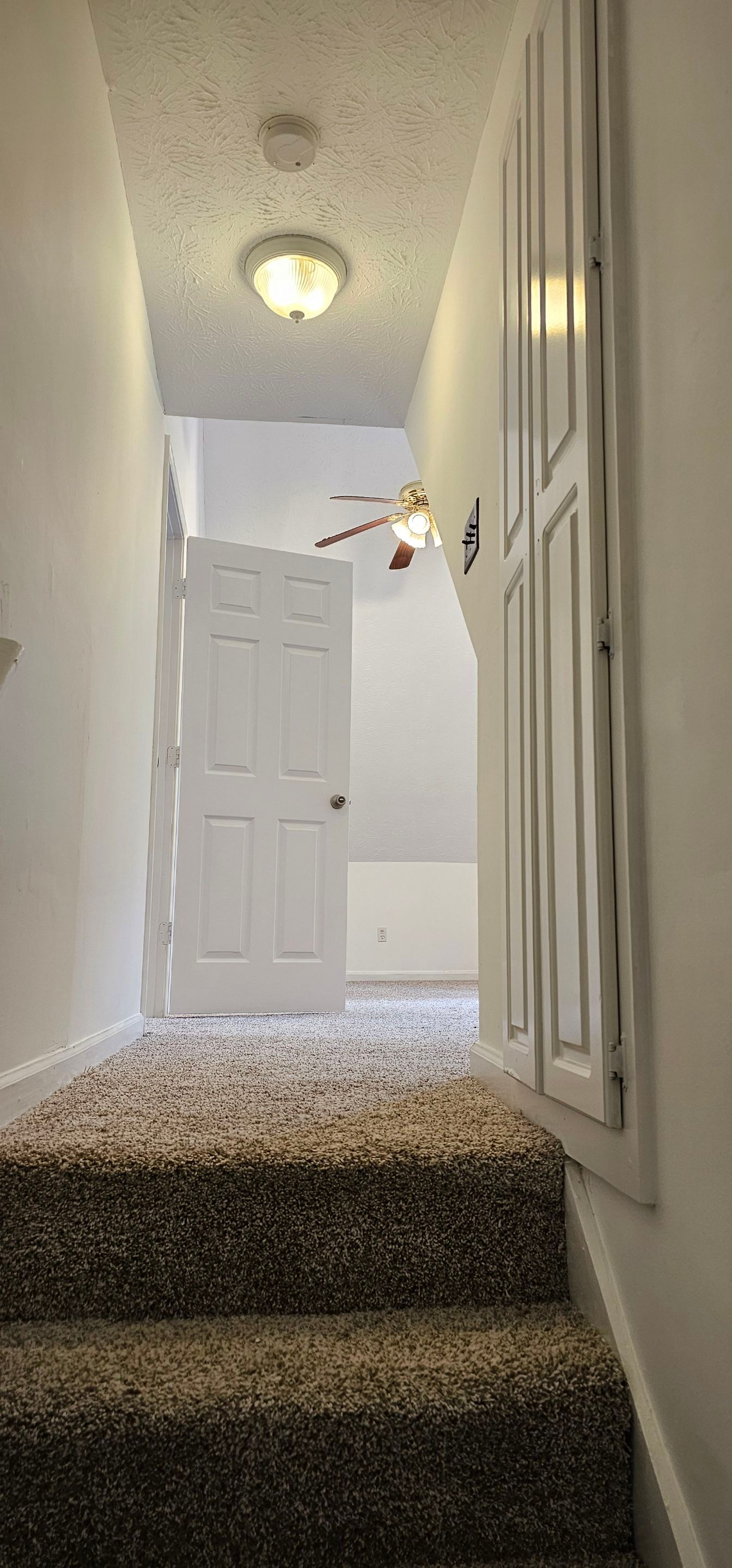 Interior Painting by Task Masters Handyman Services, LLC