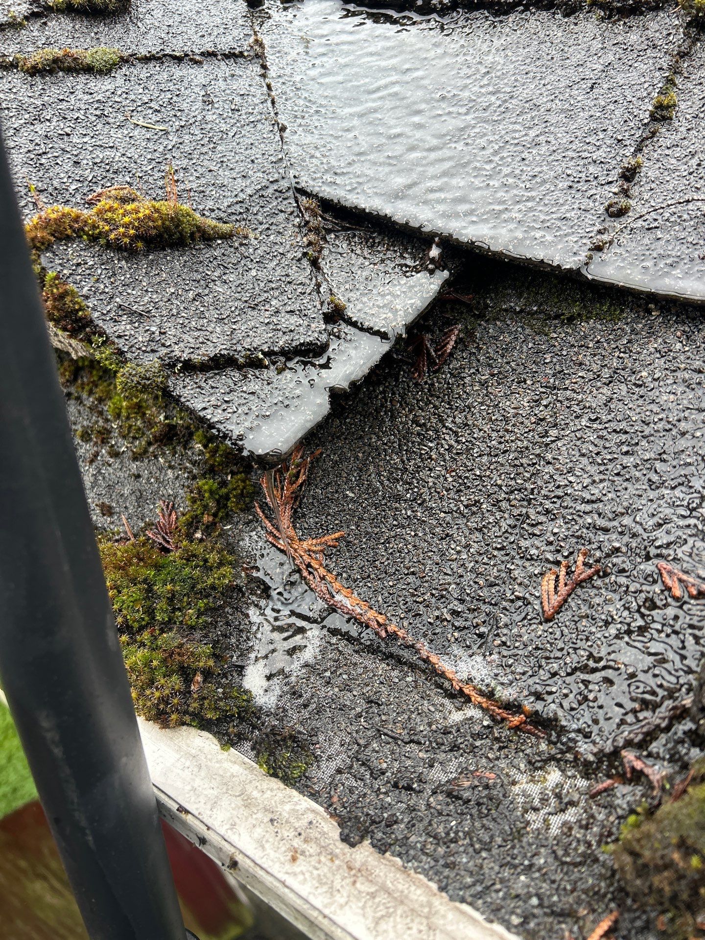 Project in Mill Creek by Connolly Construction Company