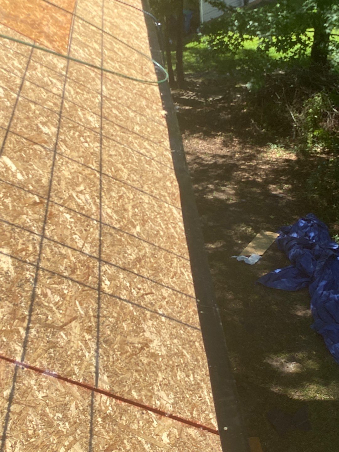 Rotten Wood by Roof Bullies