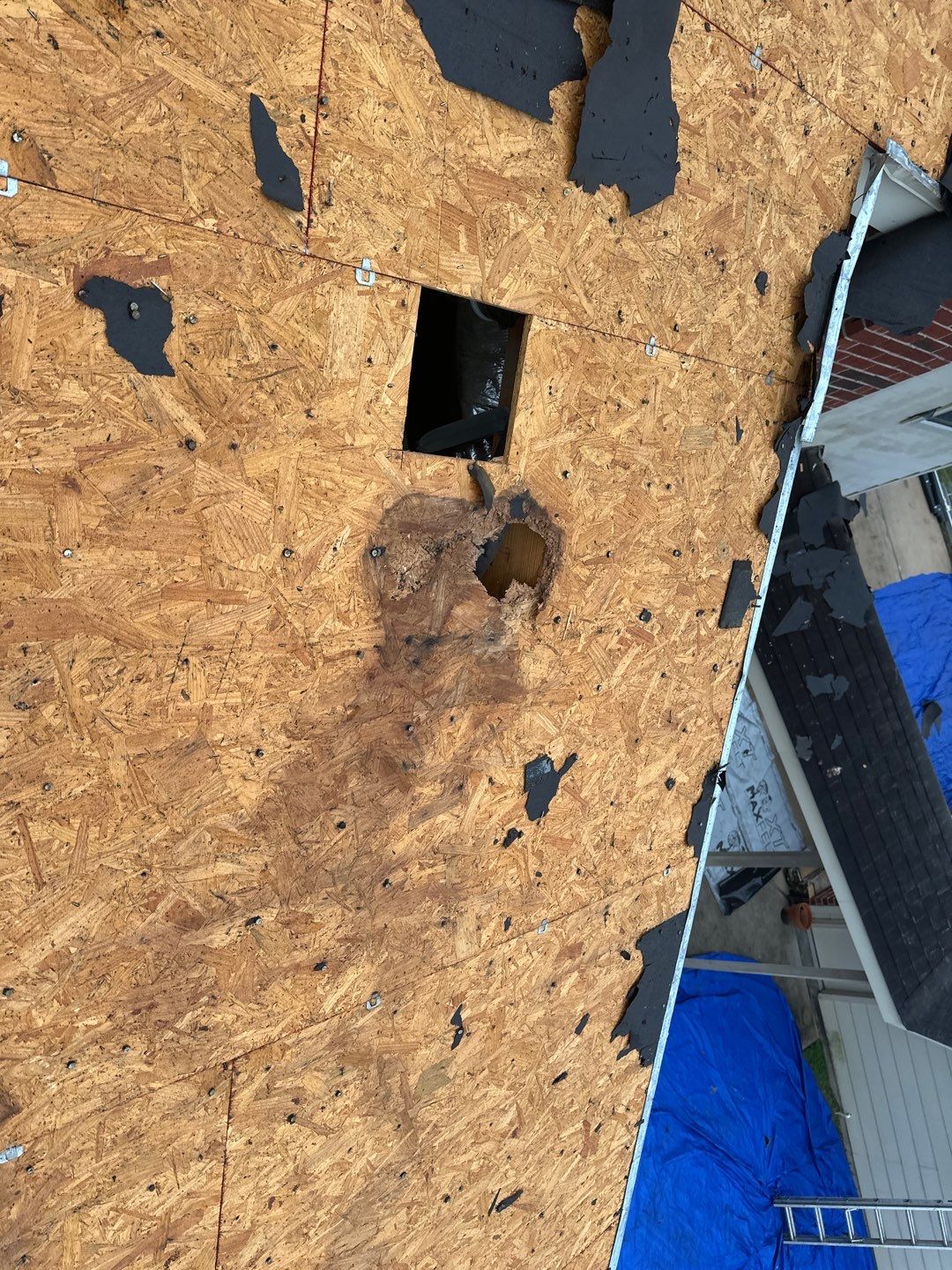 Roof Replacement Richmond by Roof Repair Services LLC