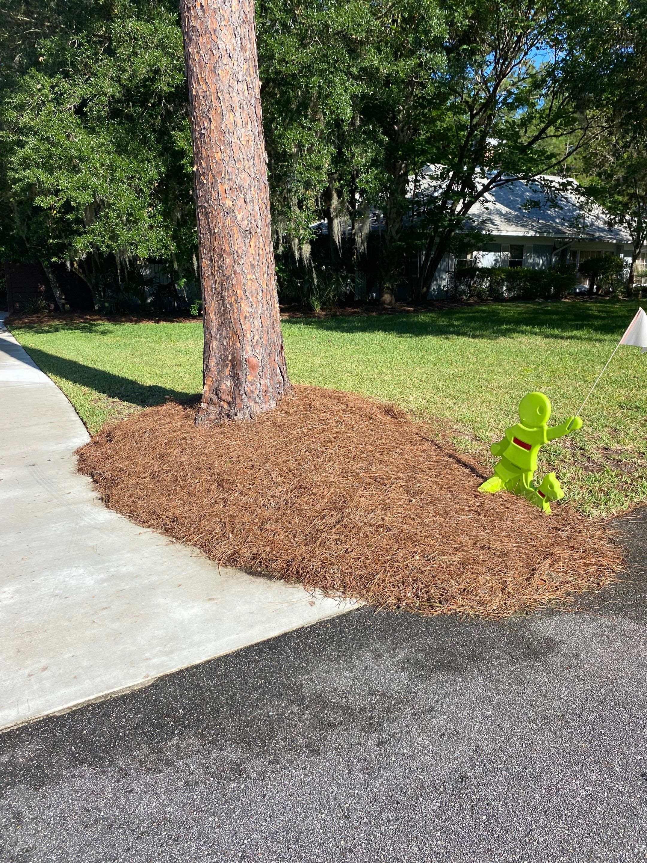 Deerwood Resident | Pine Straw & Topsoil Install by ProGreen Services
