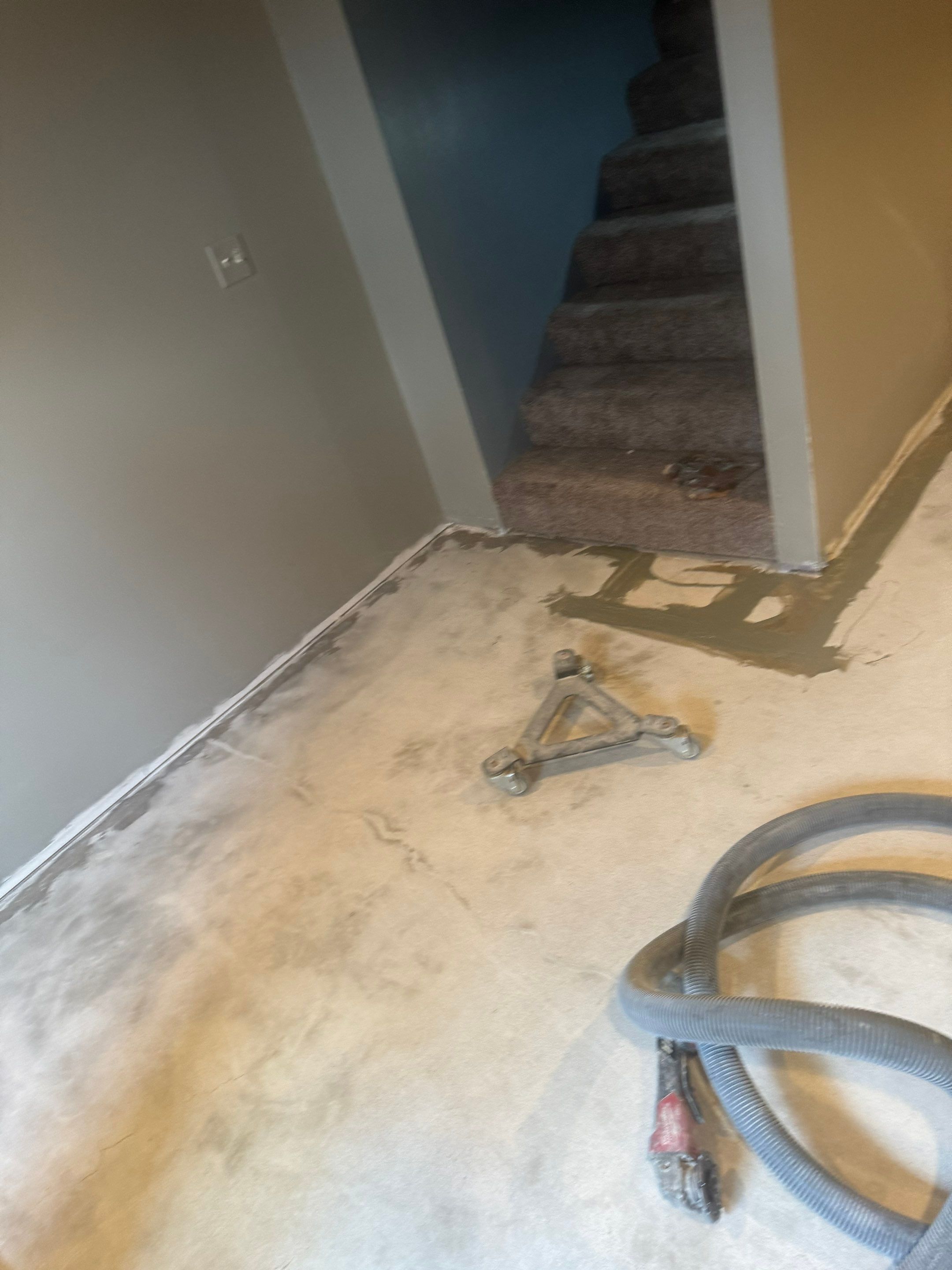 Custom Multi-Fleck Epoxy Floor Coating for Residential Basement by Select Painting, Coatings & Garage Cabinets