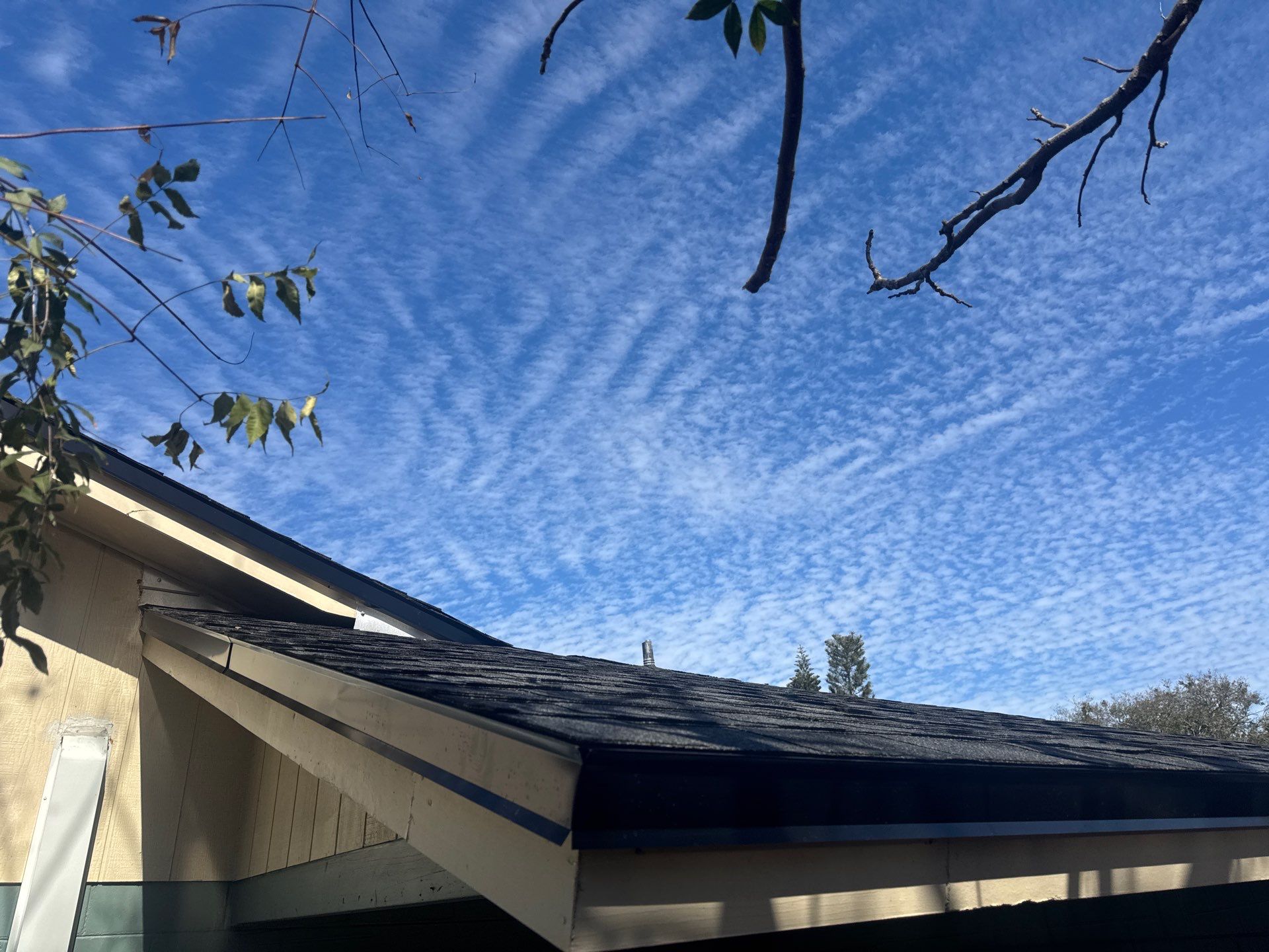 Shingle Reroof Replacement Longwood FL by Pinnacle Roofing Group