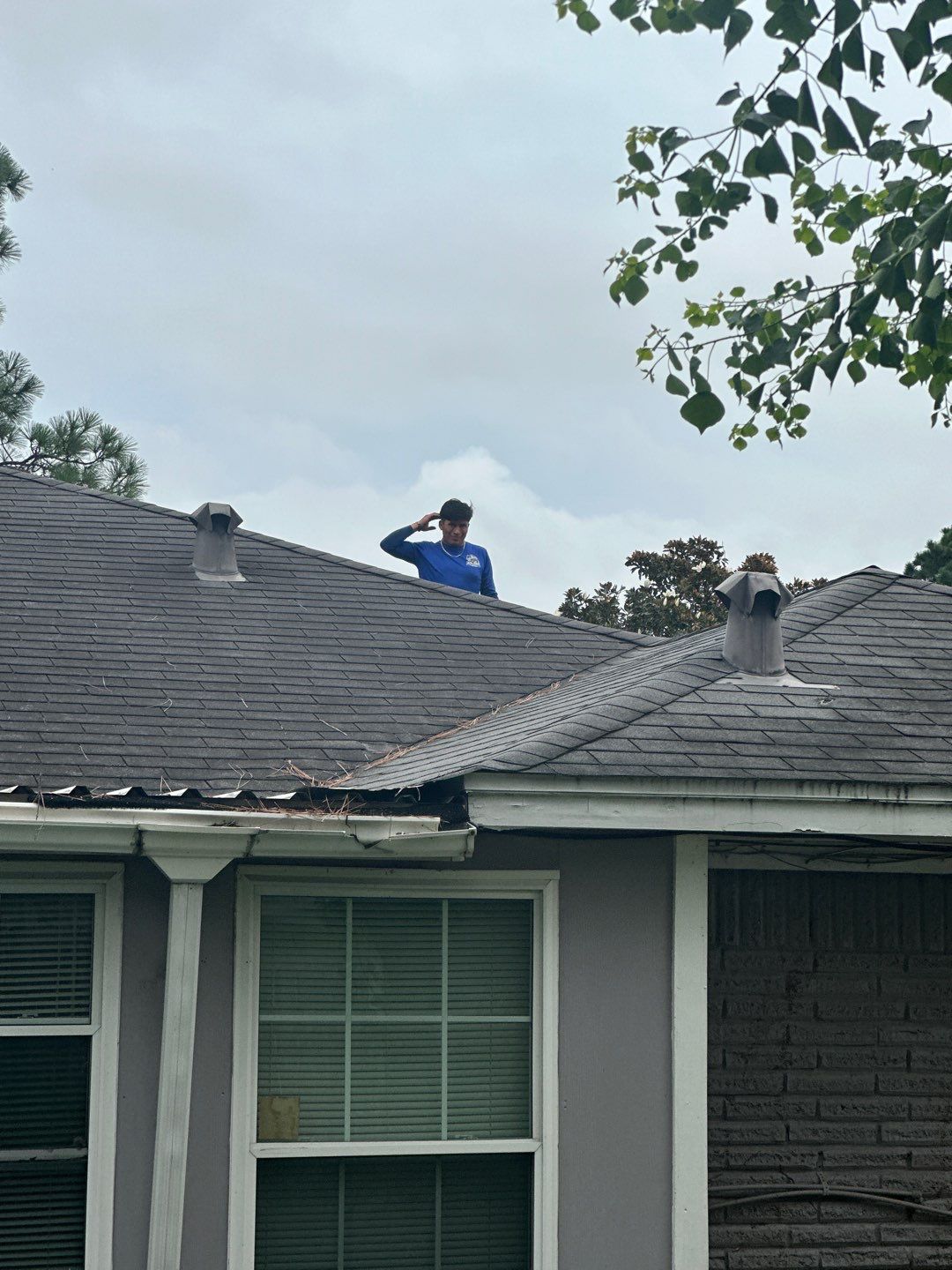 Hail Damage using Owen's Corning Duration (Lifetime) Shingles by Roof Repair Company