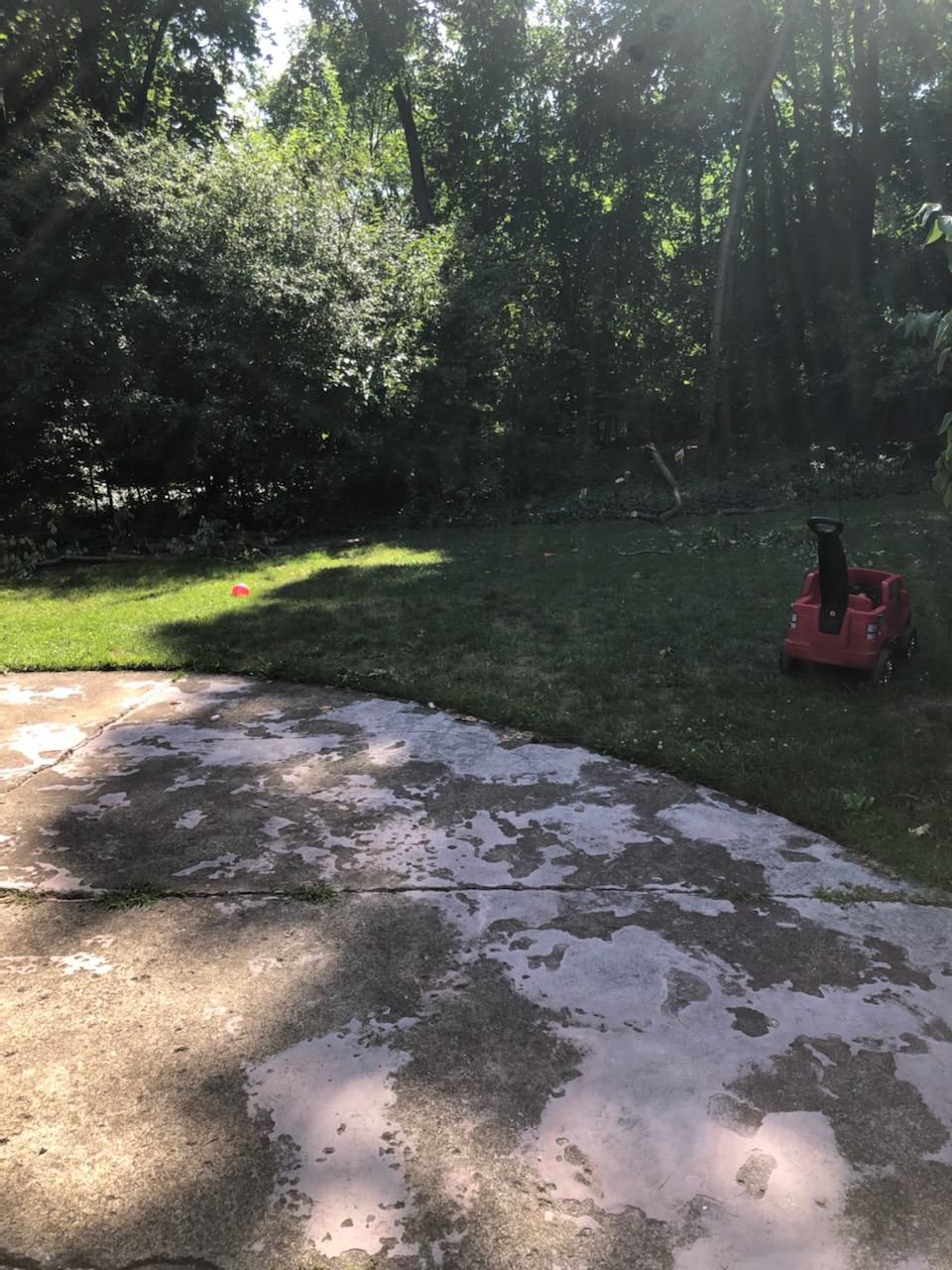 Tree Removal using Tree Removal by Mike Jones & Sons Tree Service LLC 