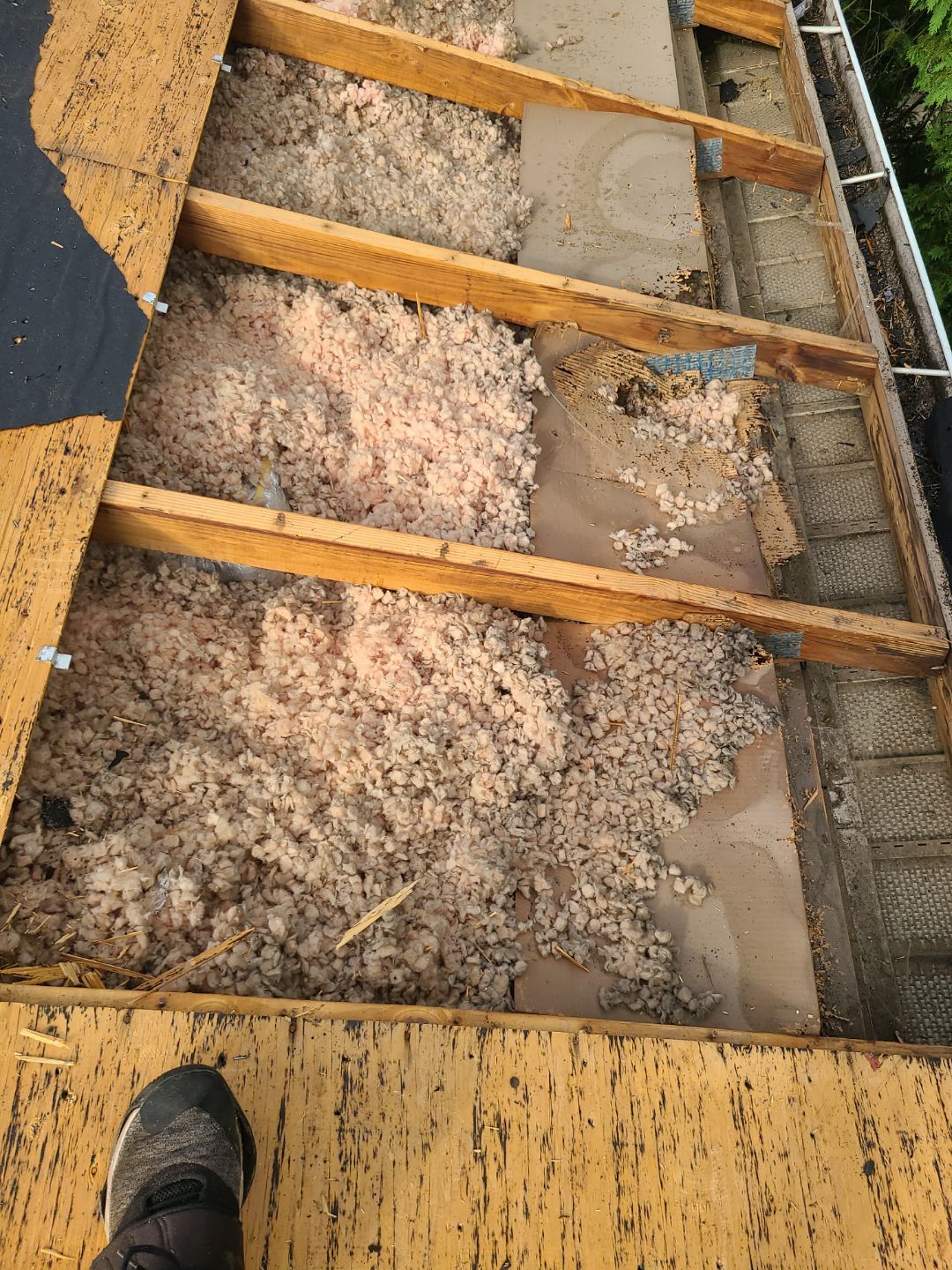 Falls Church: CertainTeed Landmark Pro Designer Shingles in Max Def Pewterwood by RM Banning, Inc.