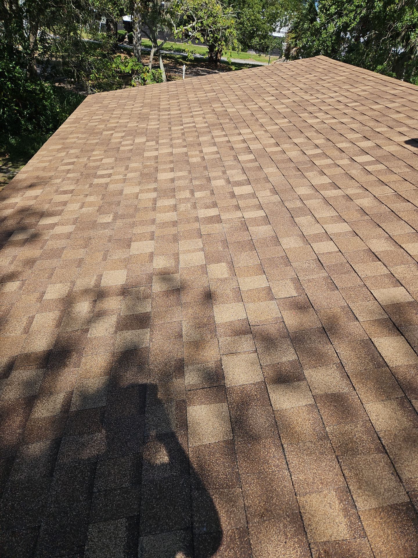 Shingle Reroof Replacement Sanford FL by Pinnacle Roofing Group