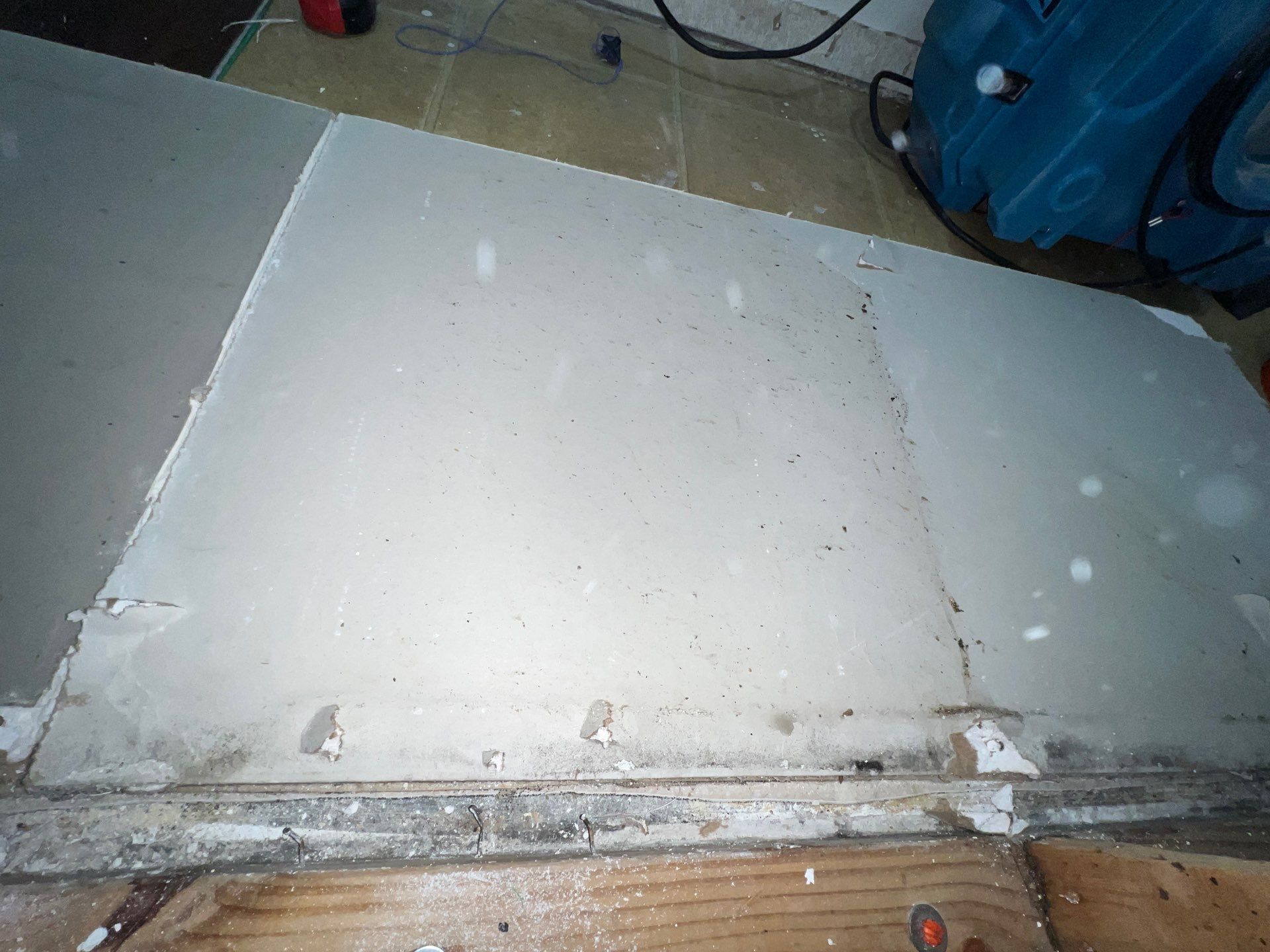 Stansell - water and mold photos  by THE RAPID TEAM