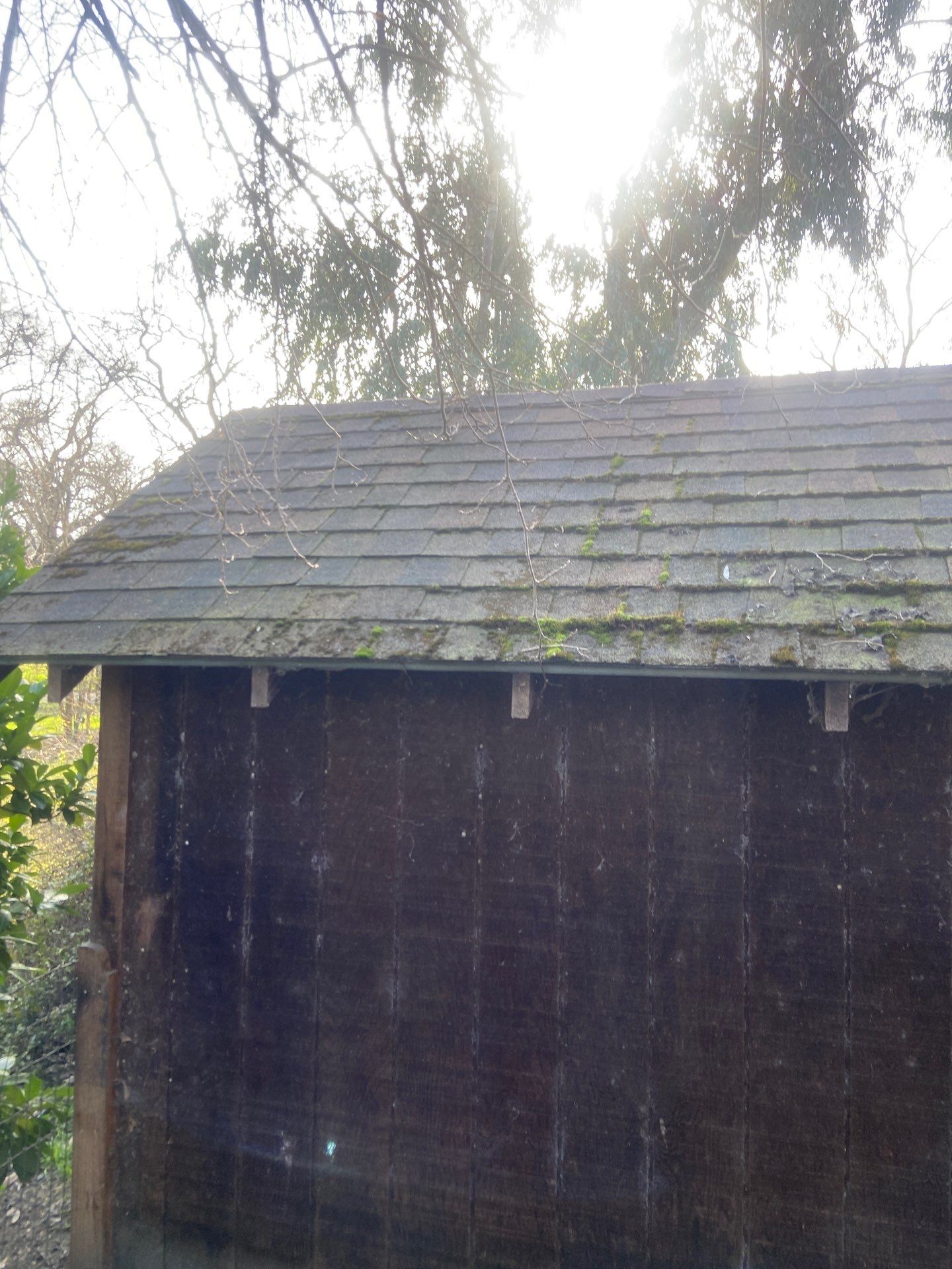 Roof Rejuvenation using Roof Maxx Treatment by Roof Maxx of Folsom