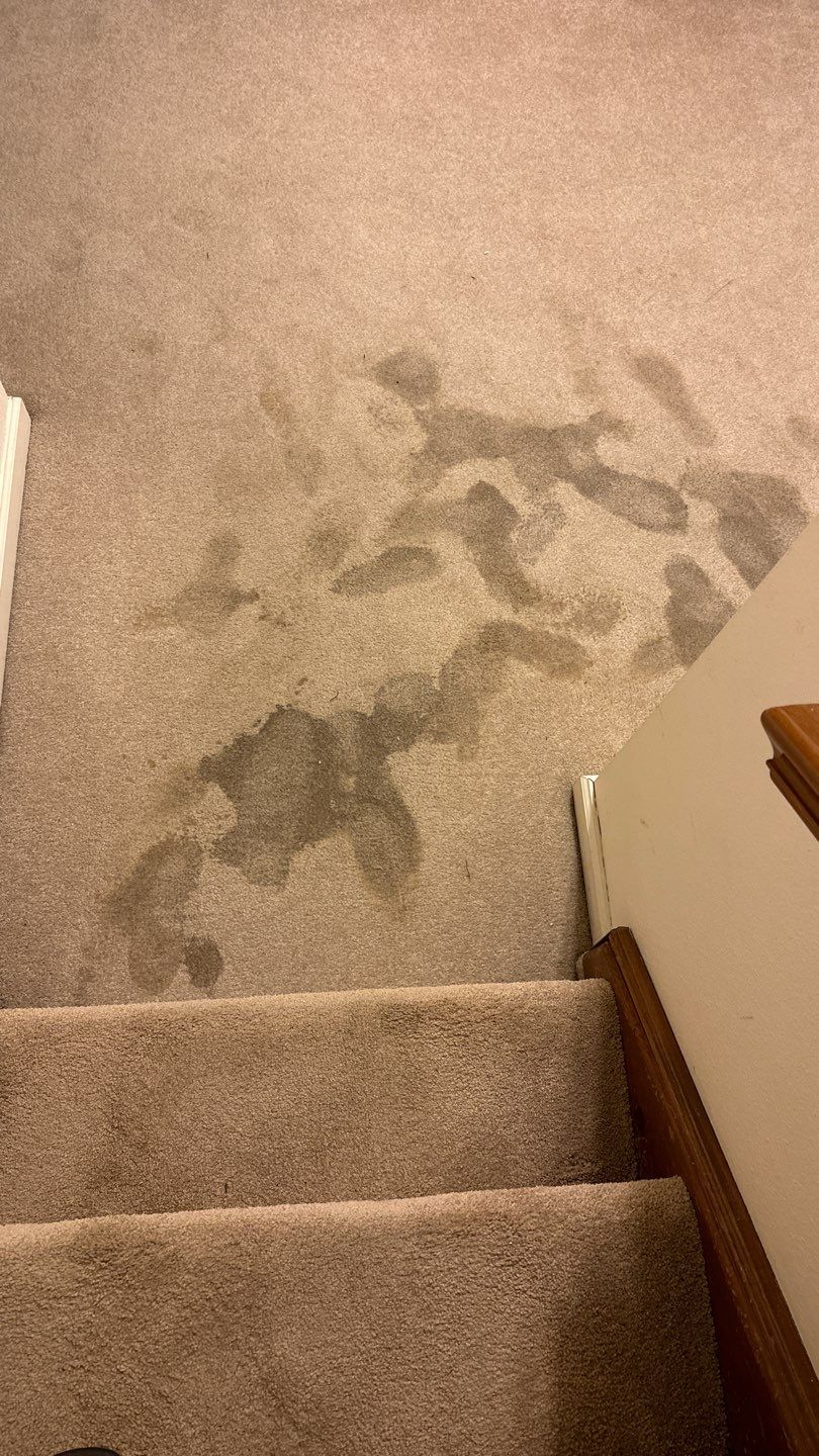 Water Damage by Accountable Home Services