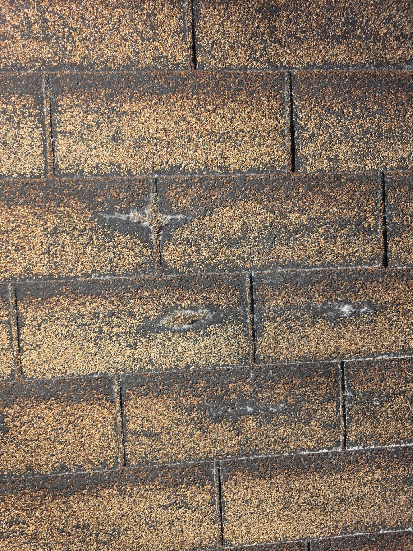 Roof Rejuvenation using Roof Maxx Treatment by Roof Maxx of Folsom