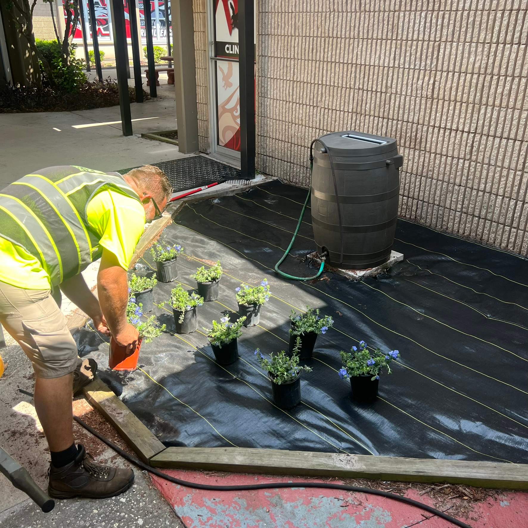 Landscape Install | Wilkinson JHS by ProGreen Services