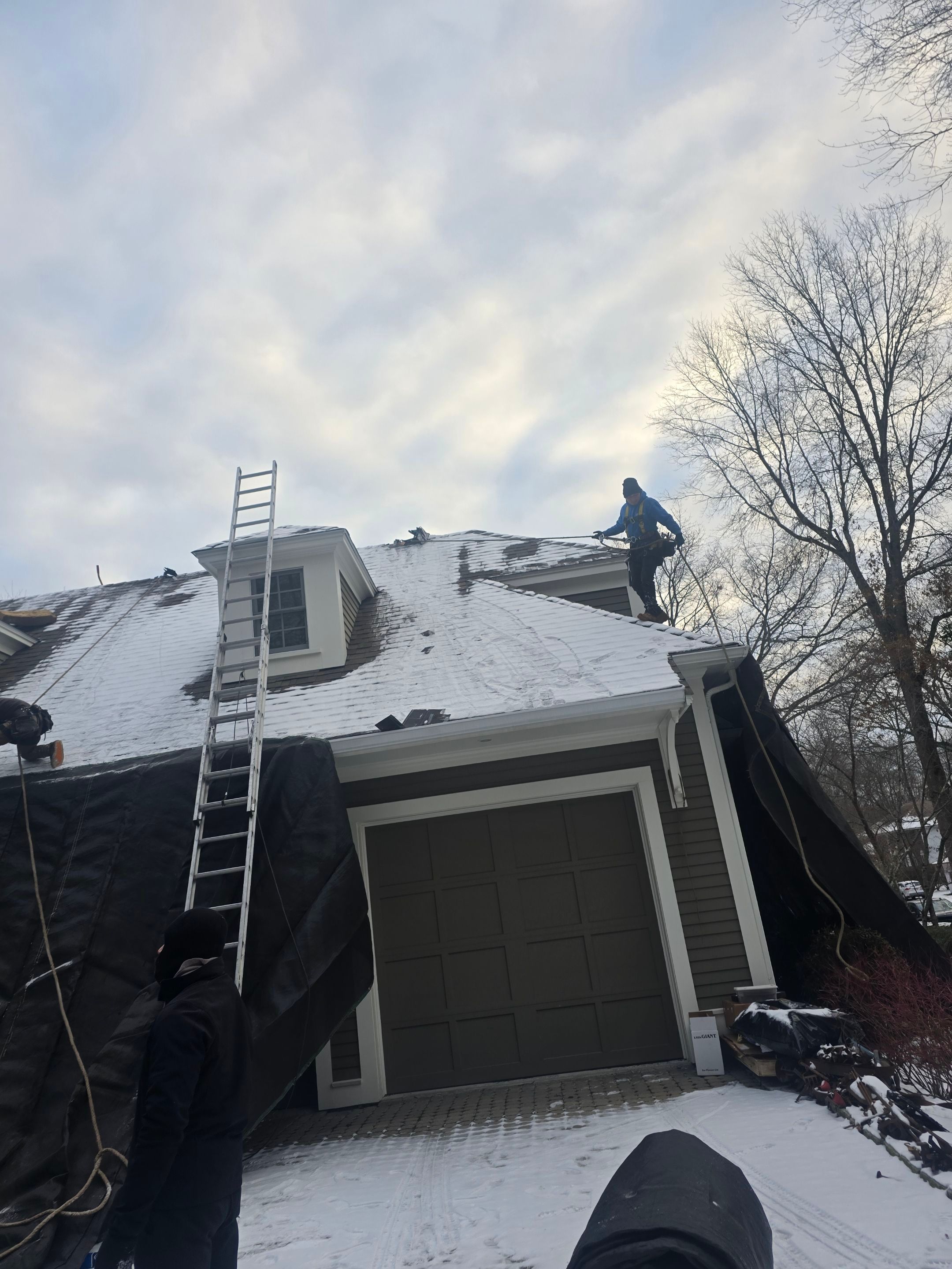 Premium Roofing & Metal Project in Lexington by Mighty Dog Roofing of Greater Middlesex County