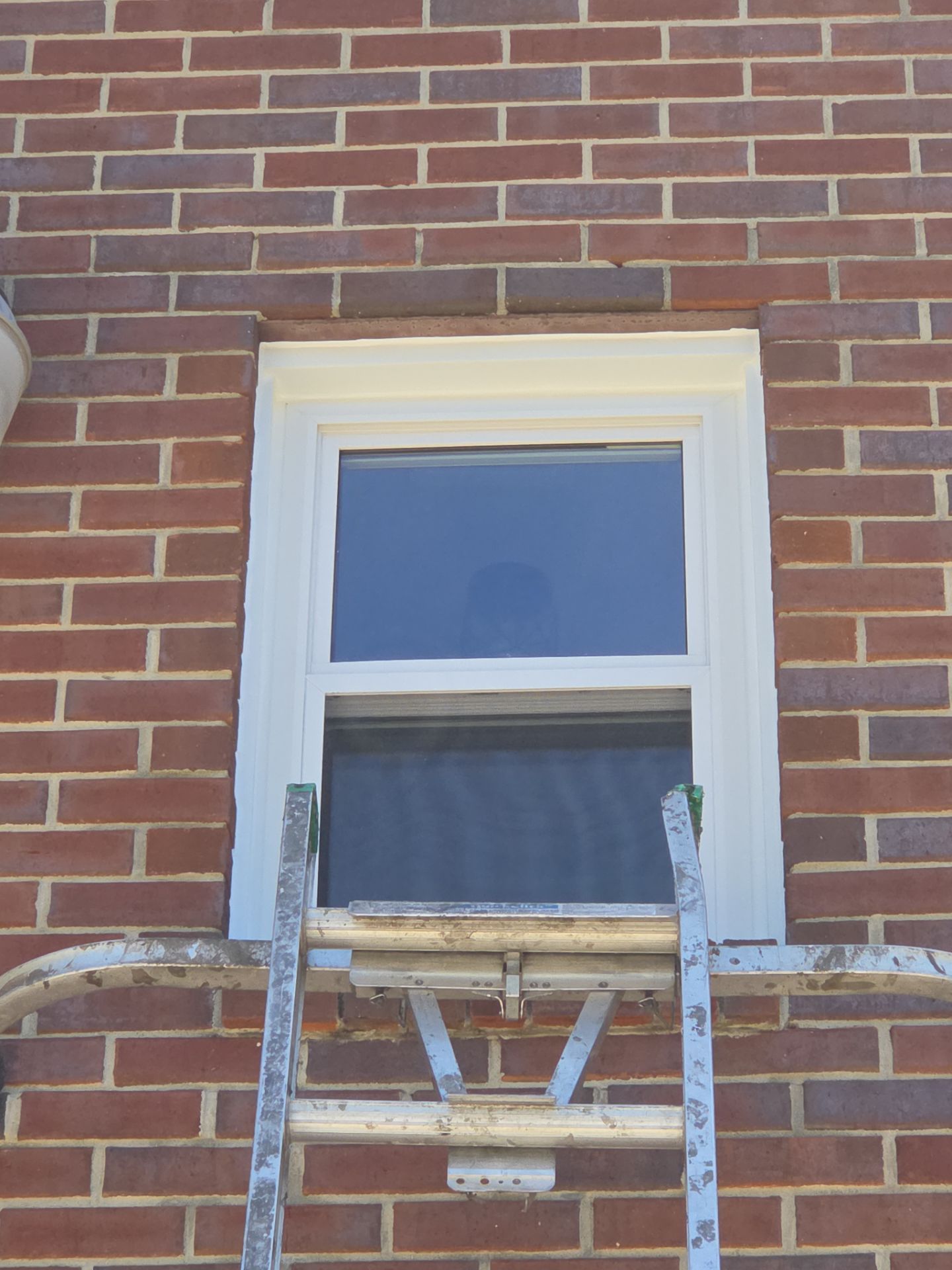 Jackson Project in Bessemer by The Window Source