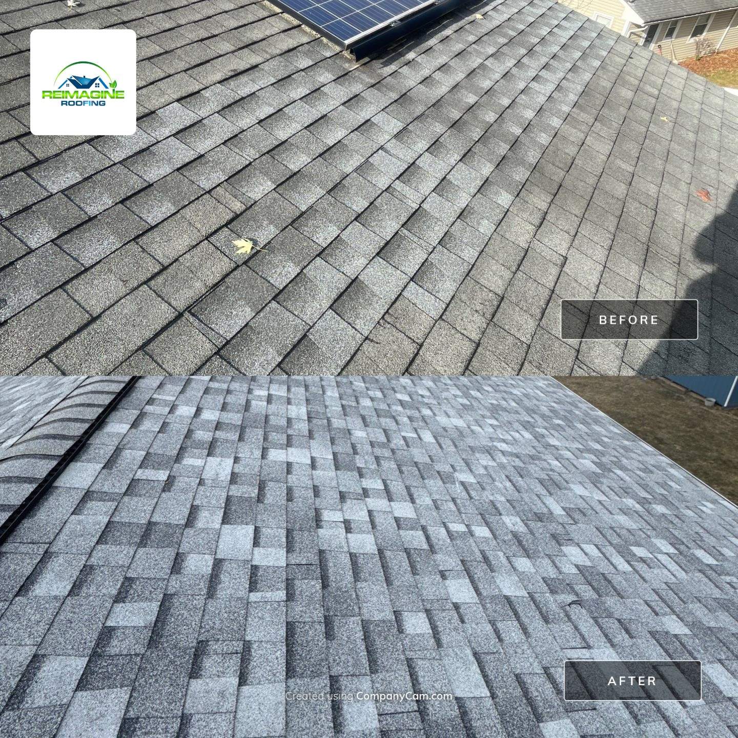 Silver Birch Shingles by Reimagine Roofing