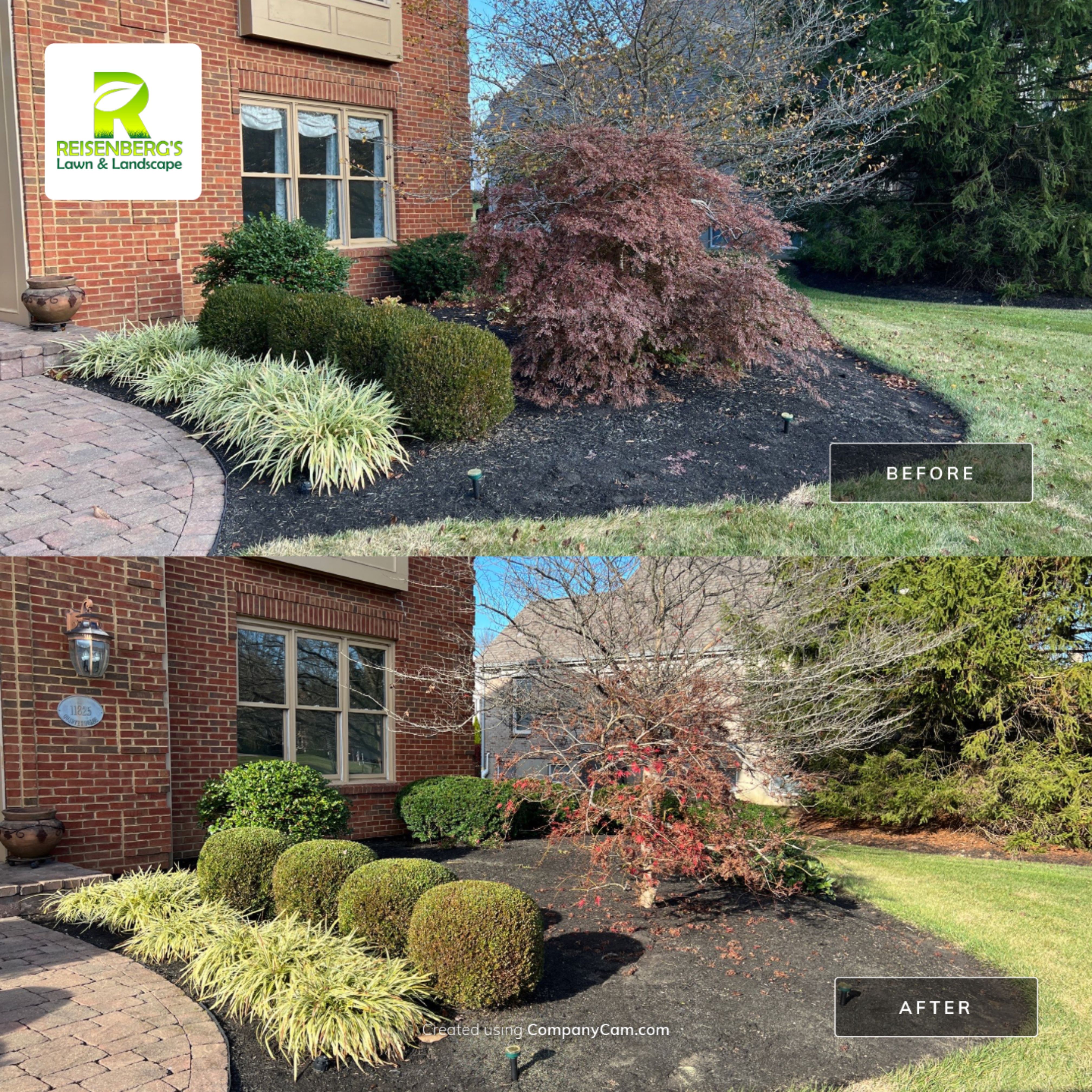 Fall Clean Up & Prune by Reisenberg’s Lawn & Landscape, LLC