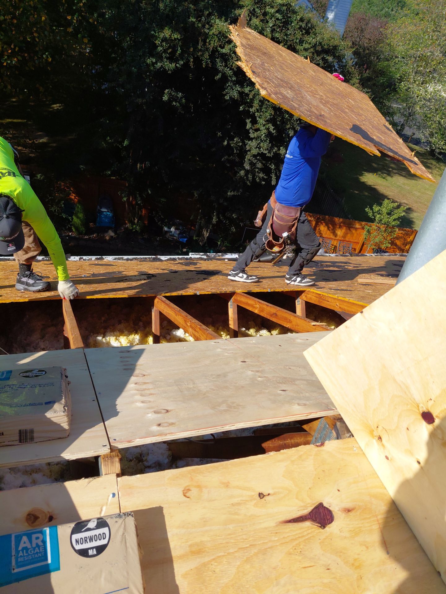 Gainesville: Residential Roof Replacement with CertainTeed Landmark in Moire Black  by RM Banning, Inc.