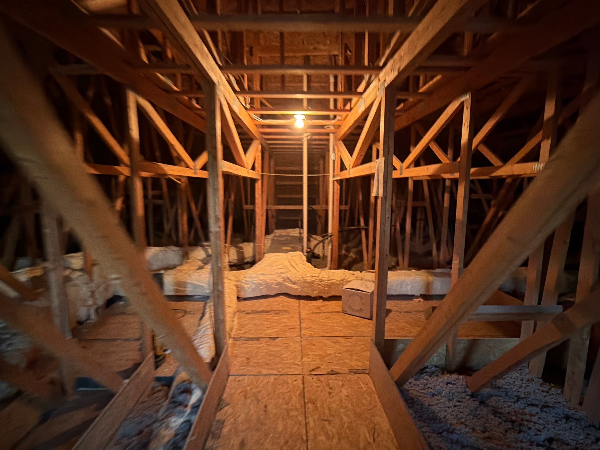Sanitizing and Transforming a 2,100 sq ft Attic for a Better Home Performance by Home Environment Solutions