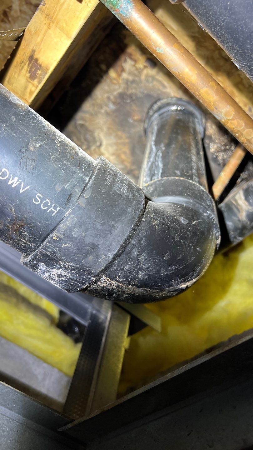 Mold Remediation by Accountable Home Services