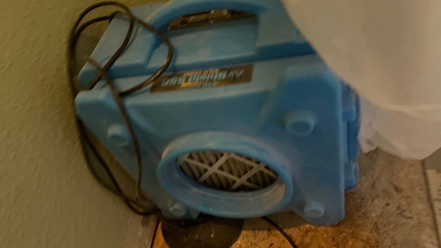 Mold Remediation by Accountable Home Services