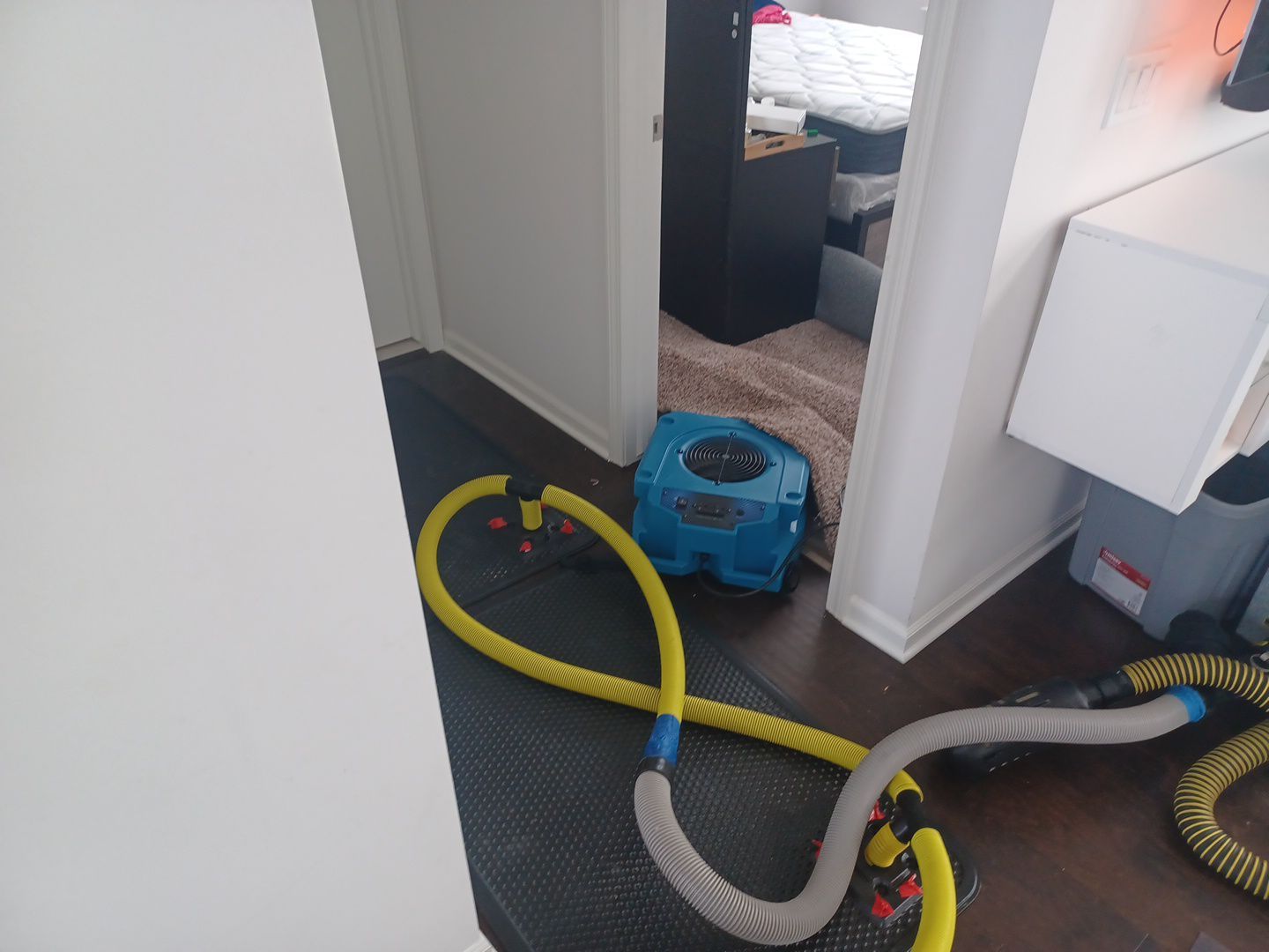 Project in South Lyon by EzDry Water Mitigation & Property Restoration